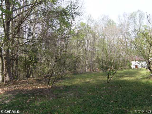 10020 Alpine Road Providence Forge, VA 23140 - Photo 4 of 8 Yard/Garden - Longtime garden spot and fruit trees