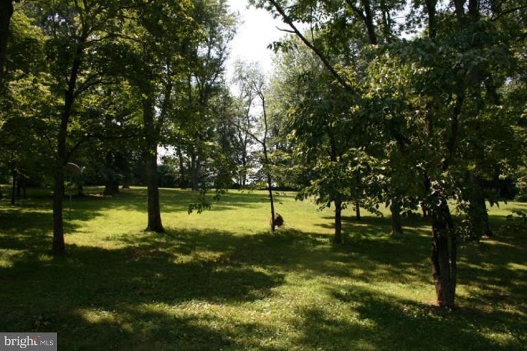 23031 St Louis Road Middleburg, VA 20117 - Photo 3 of 14 Back yard