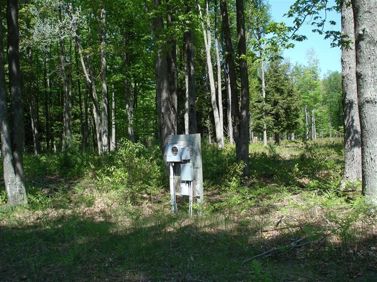 10810 Morton Road Manistee, MI 49660 - Photo 11 of 21 Additional Photo