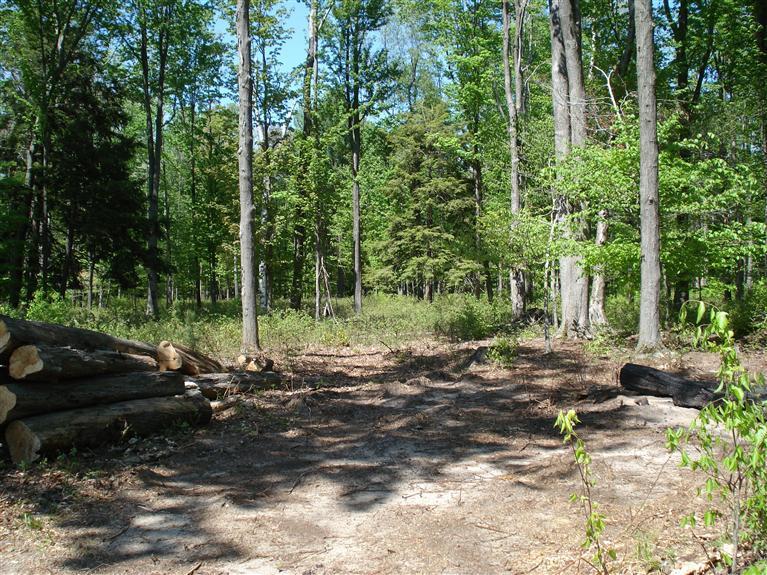 10810 Morton Road Manistee, MI 49660 - Photo 13 of 21 Additional Photo