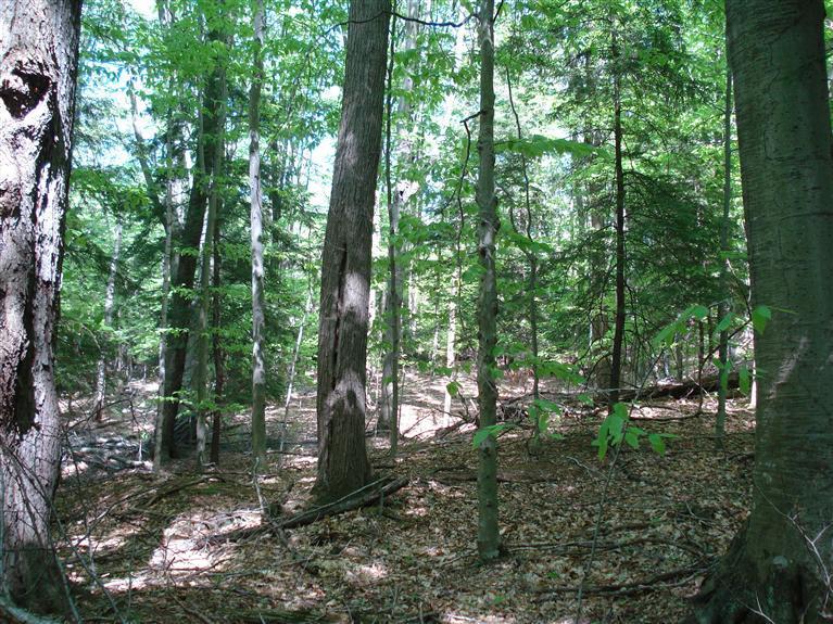 10810 Morton Road Manistee, MI 49660 - Photo 18 of 21 Additional Photo