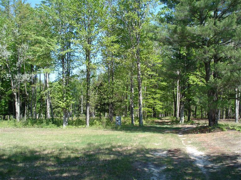 10810 Morton Road Manistee, MI 49660 - Photo 19 of 21 Additional Photo