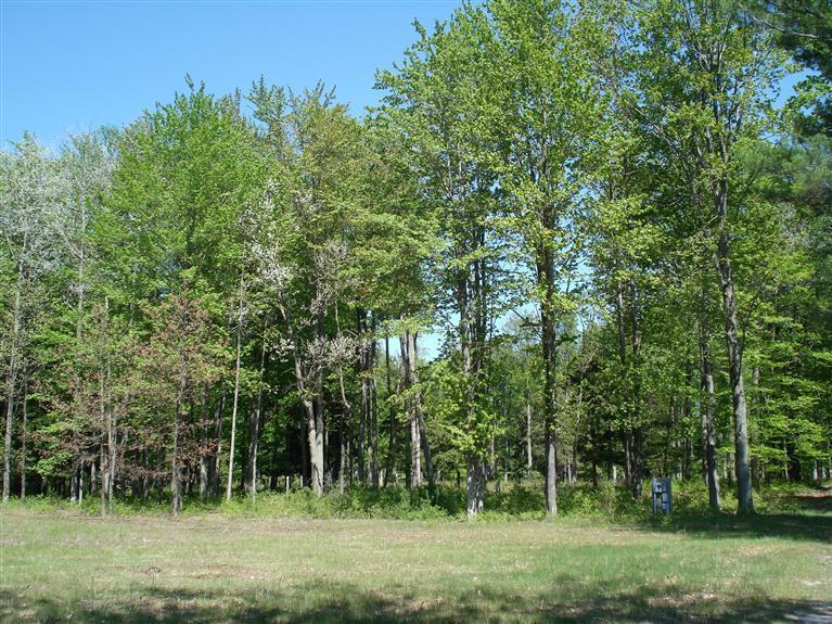 10810 Morton Road Manistee, MI 49660 - Photo 20 of 21 Additional Photo