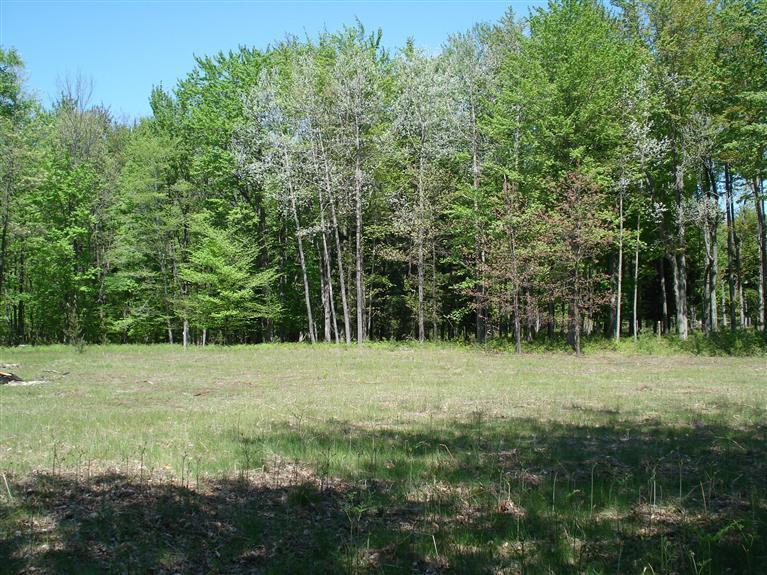 10810 Morton Road Manistee, MI 49660 - Photo 9 of 21 Additional Photo