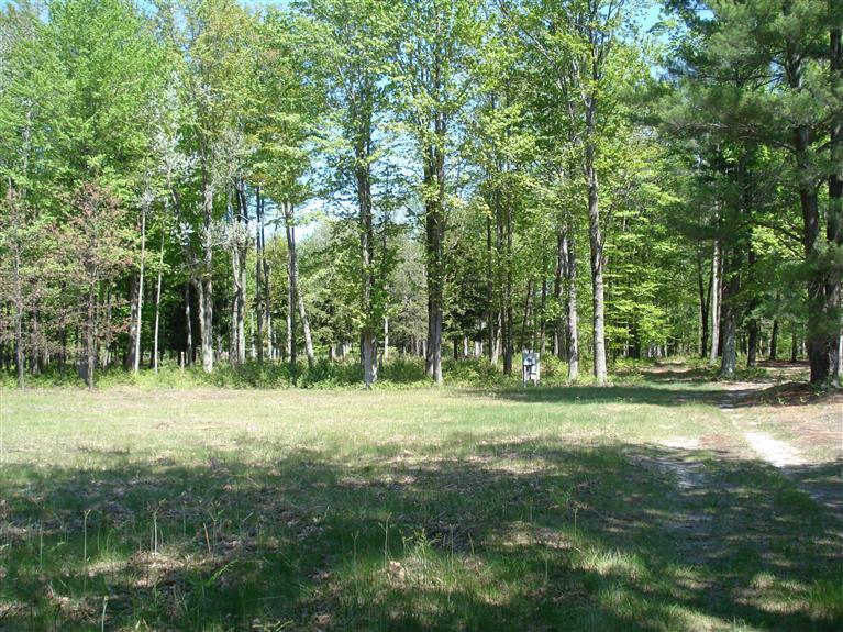 10810 Morton Road Manistee, MI 49660 - Photo 10 of 21 Additional Photo