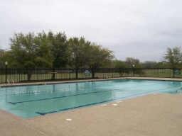 3608 Bent Ridge Drive Plano, TX 75074 - Photo 16 of 16 View of swimming pool featuring a patio area