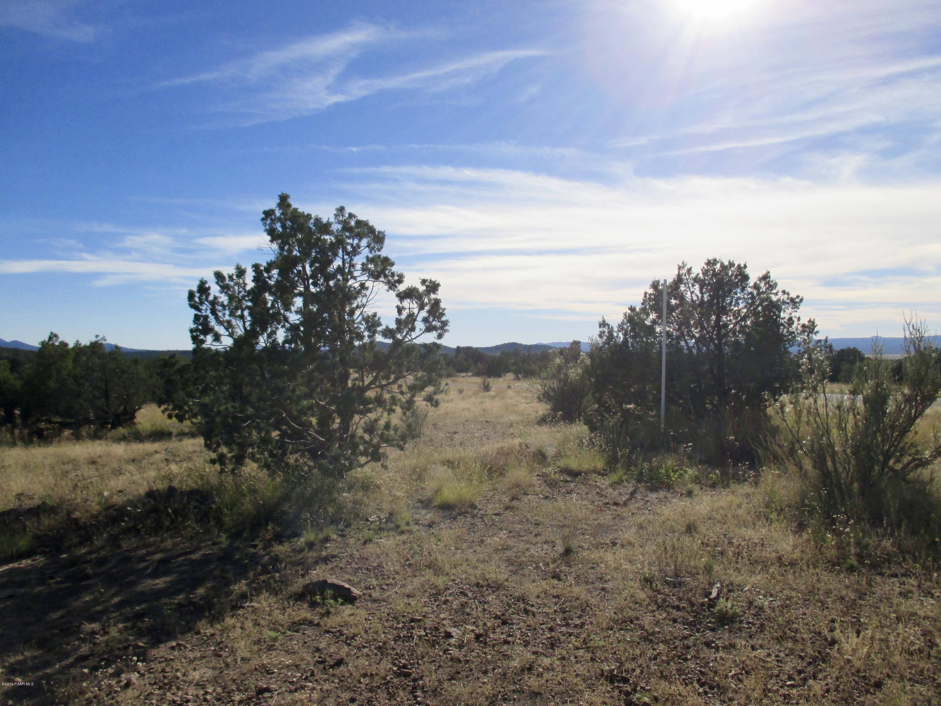 5011 Dillon Wash Road Prescott, AZ 86305 - Photo 12 of 19 South Border