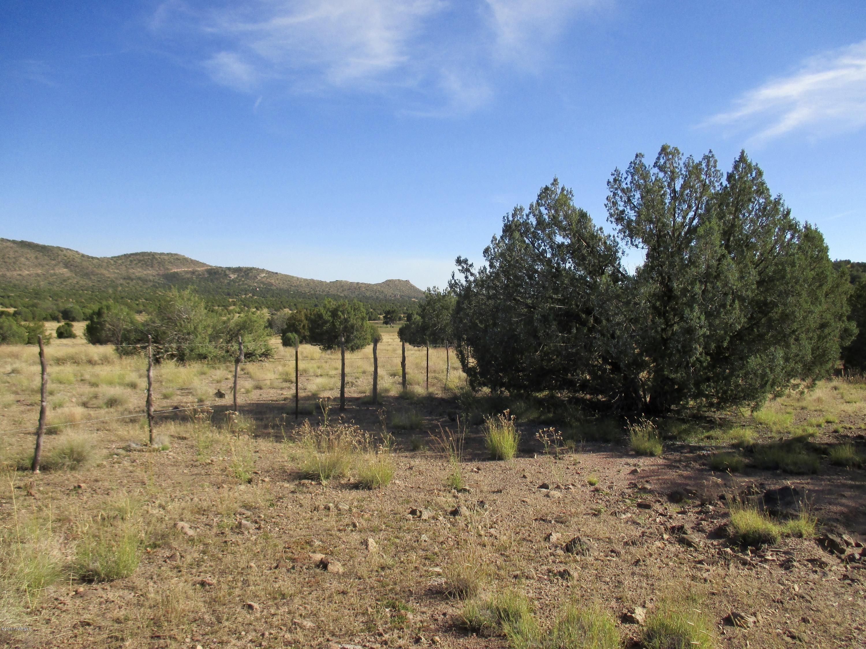 5011 Dillon Wash Road Prescott, AZ 86305 - Photo 17 of 19 State Land Fence