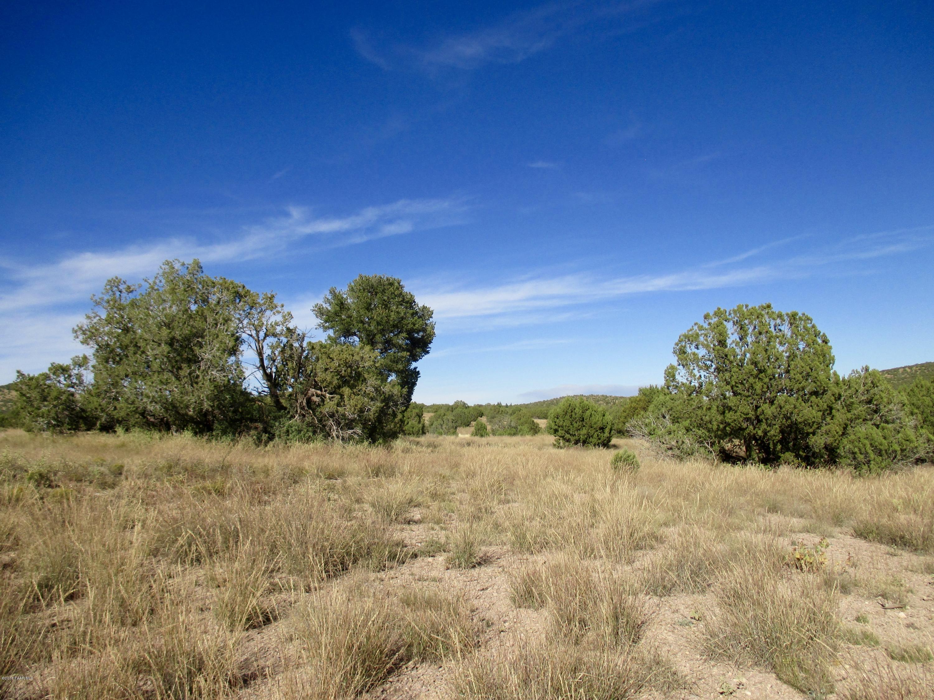 Southwest Vegetation