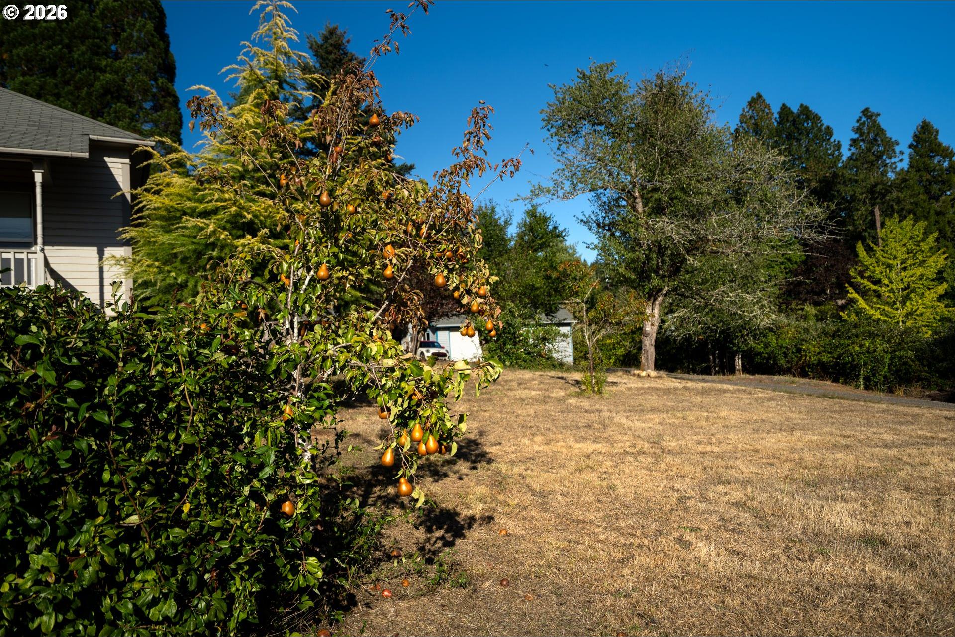 253 Binder Section Road Elkton, OR 97436 - Photo 32 of 44 Gallery Image 32