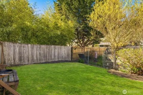 a view of a backyard with large trees and wooden fence