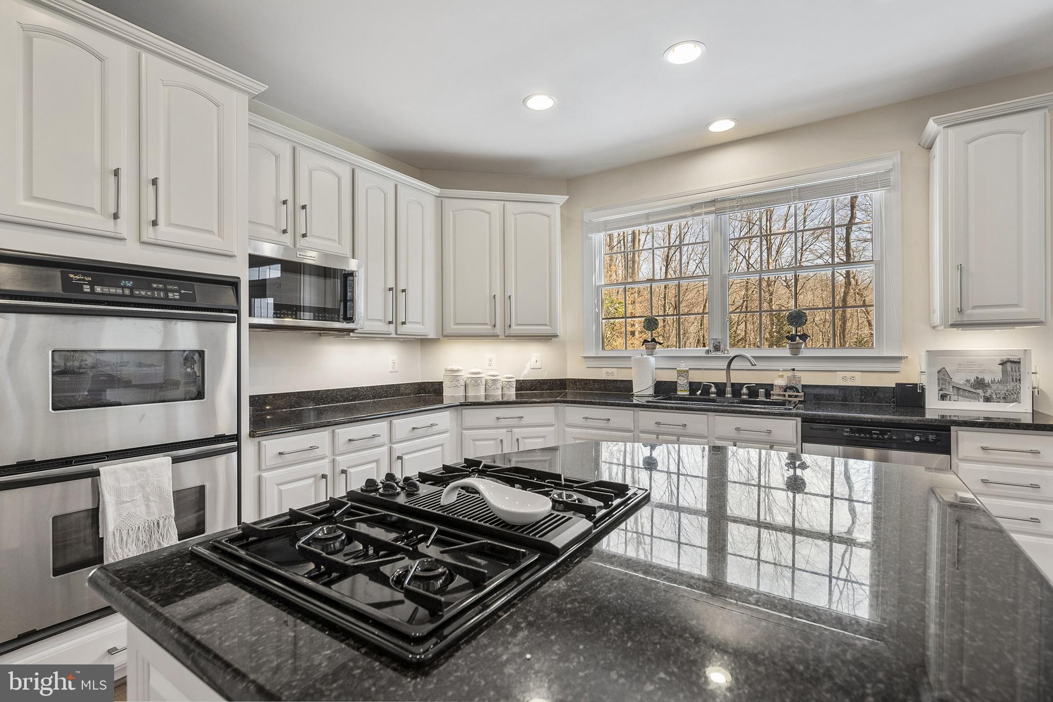 1603 Rabbit Foot Clover Court Annapolis, MD 21401 - Photo 19 of 42 kitchen
