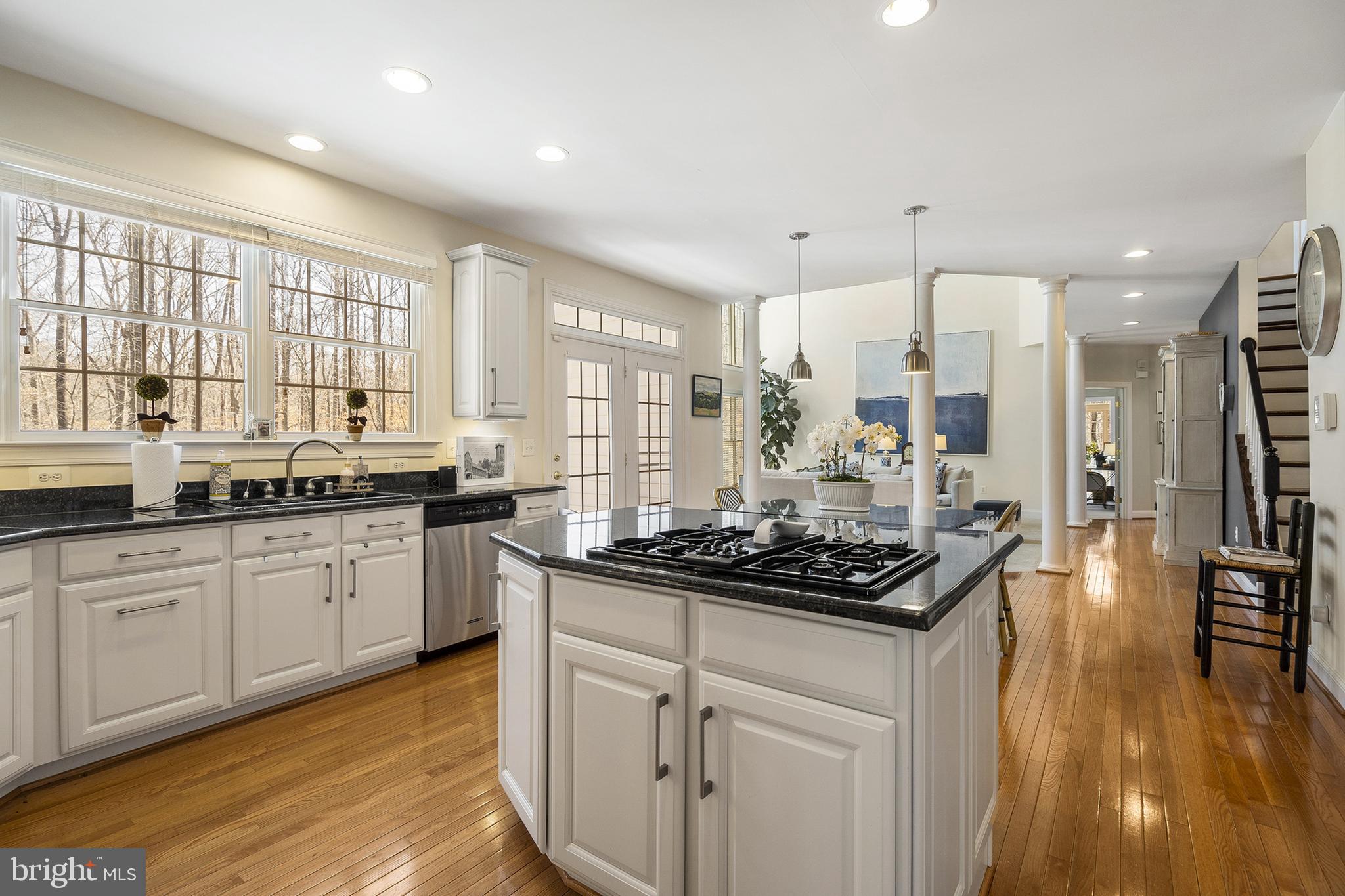 1603 Rabbit Foot Clover Court Annapolis, MD 21401 - Photo 20 of 42 kitchen