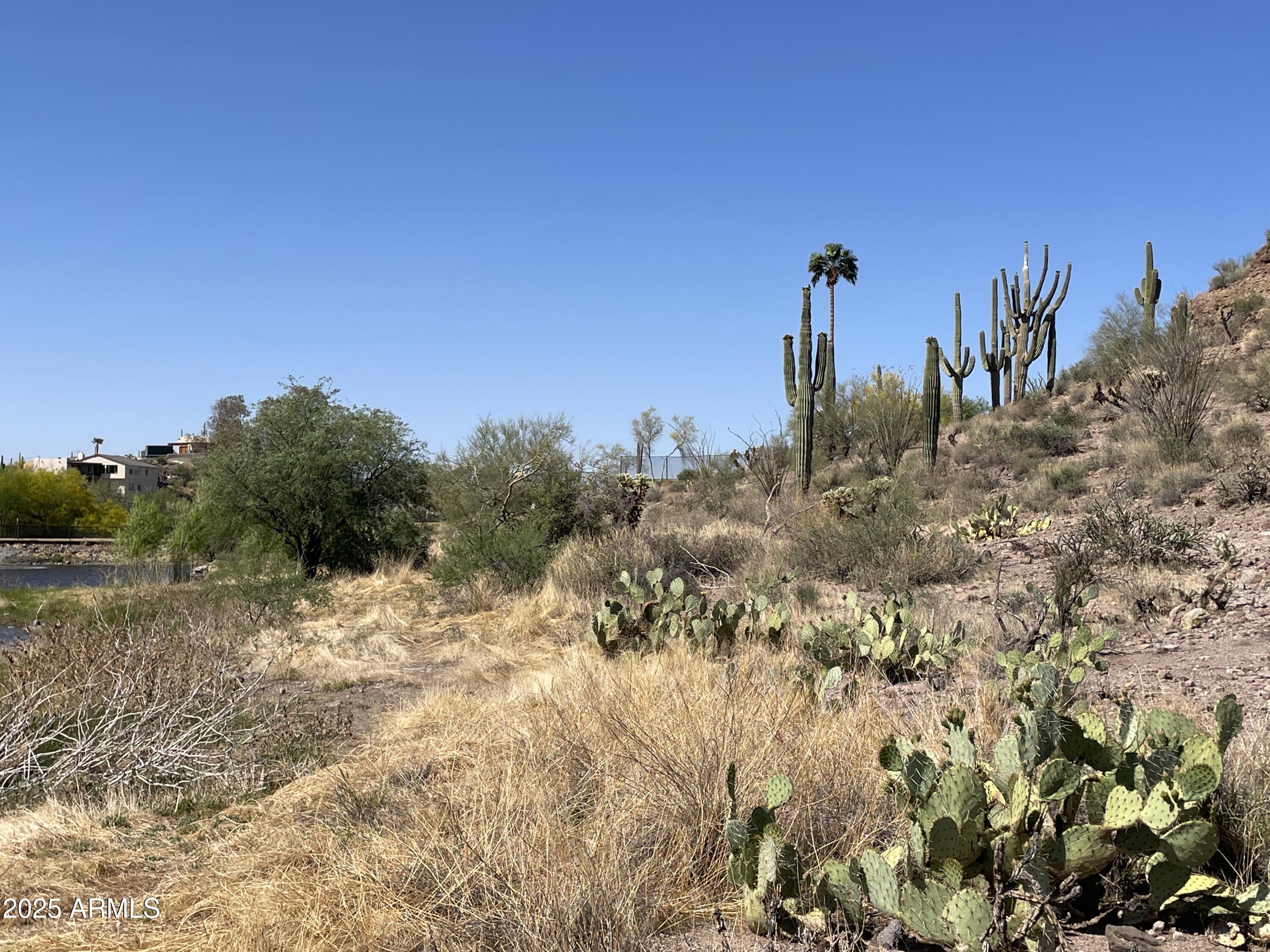102 North Elephant Butte Road Gold Canyon, AZ 85118 - Photo 12 of 37 a view of a yard with a tree