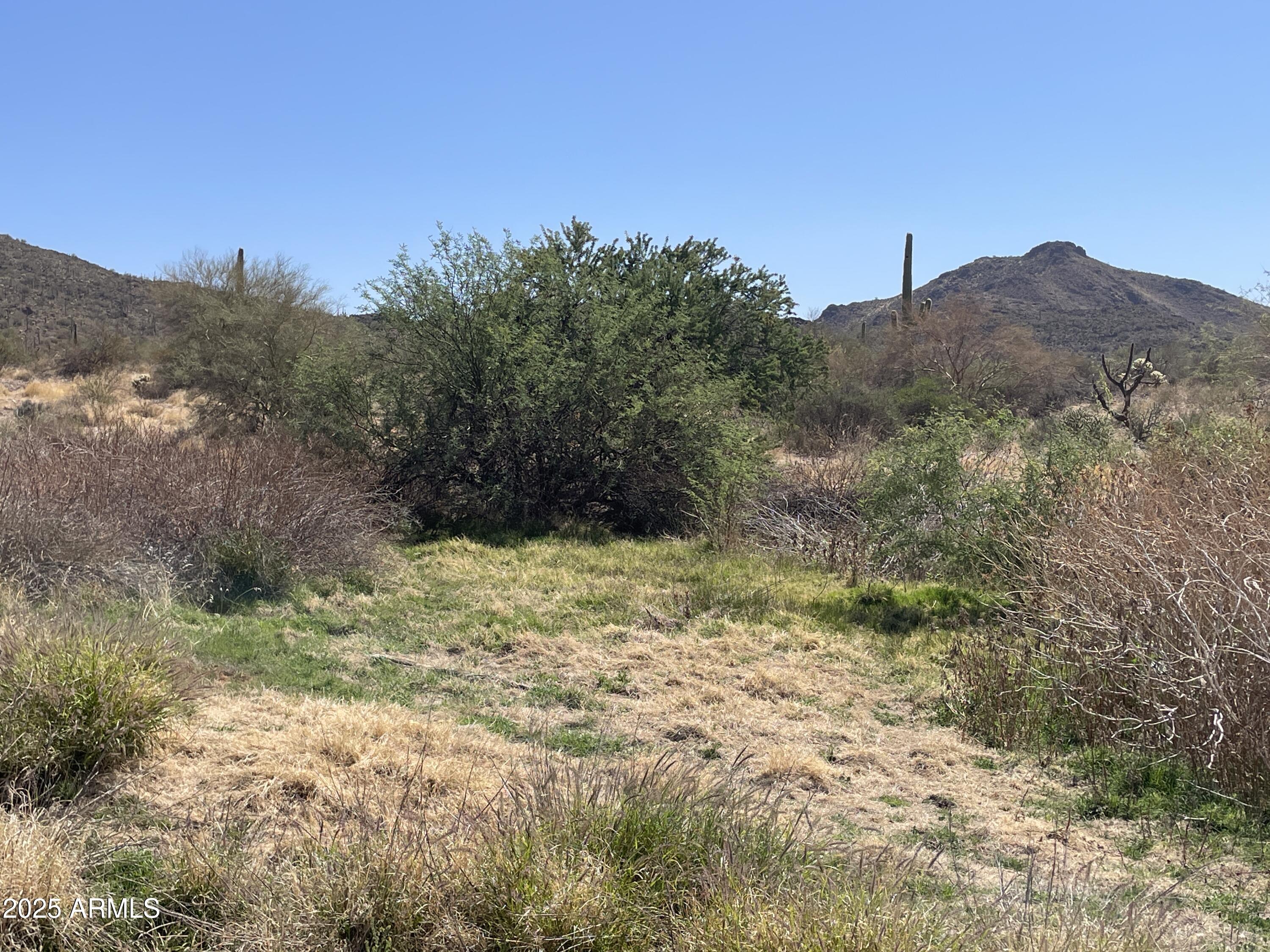 102 North Elephant Butte Road Gold Canyon, AZ 85118 - Photo 13 of 37 a view of a yard with a tree