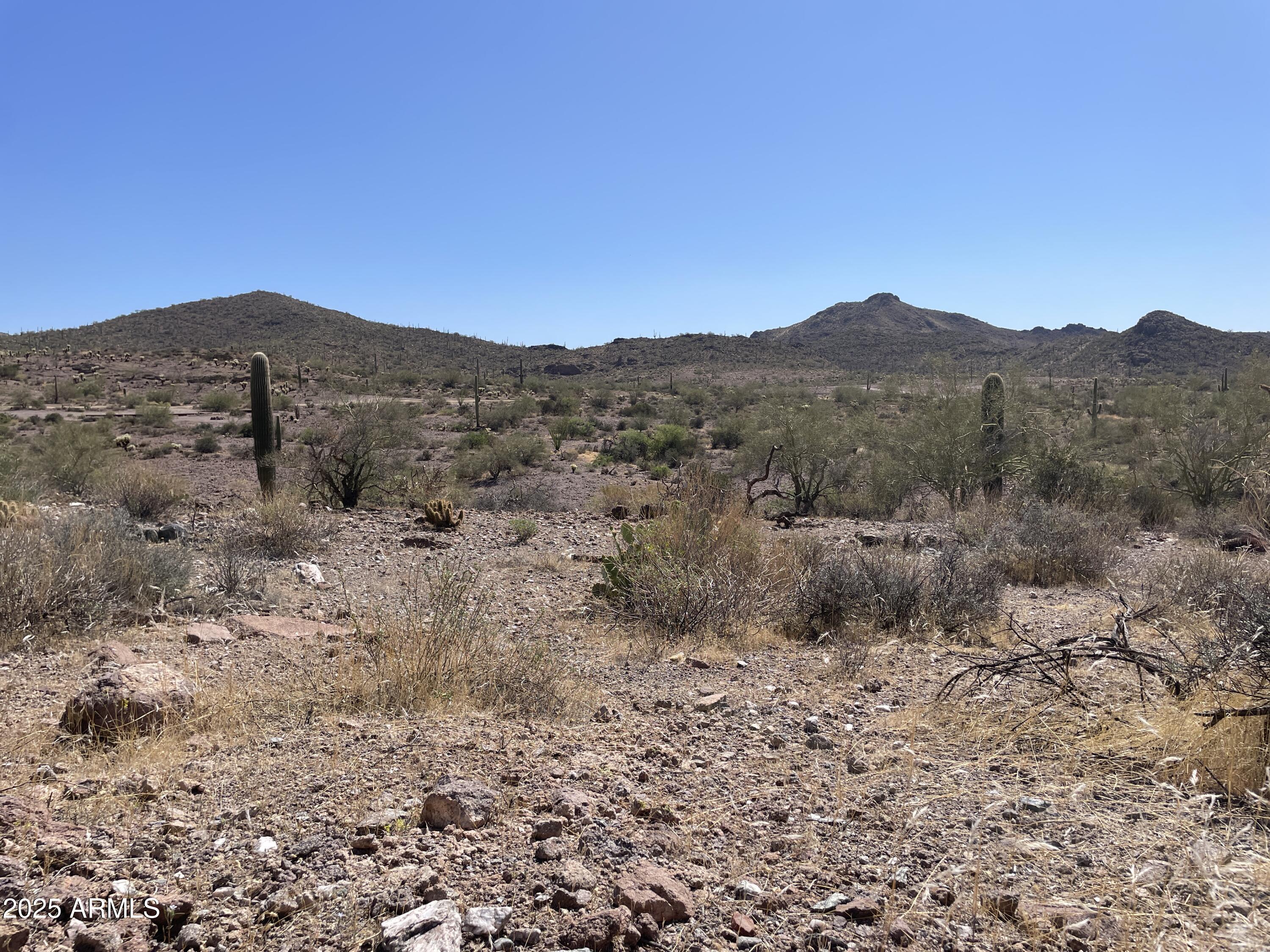102 North Elephant Butte Road Gold Canyon, AZ 85118 - Photo 15 of 37 a view of a dry yard with mountains in the background