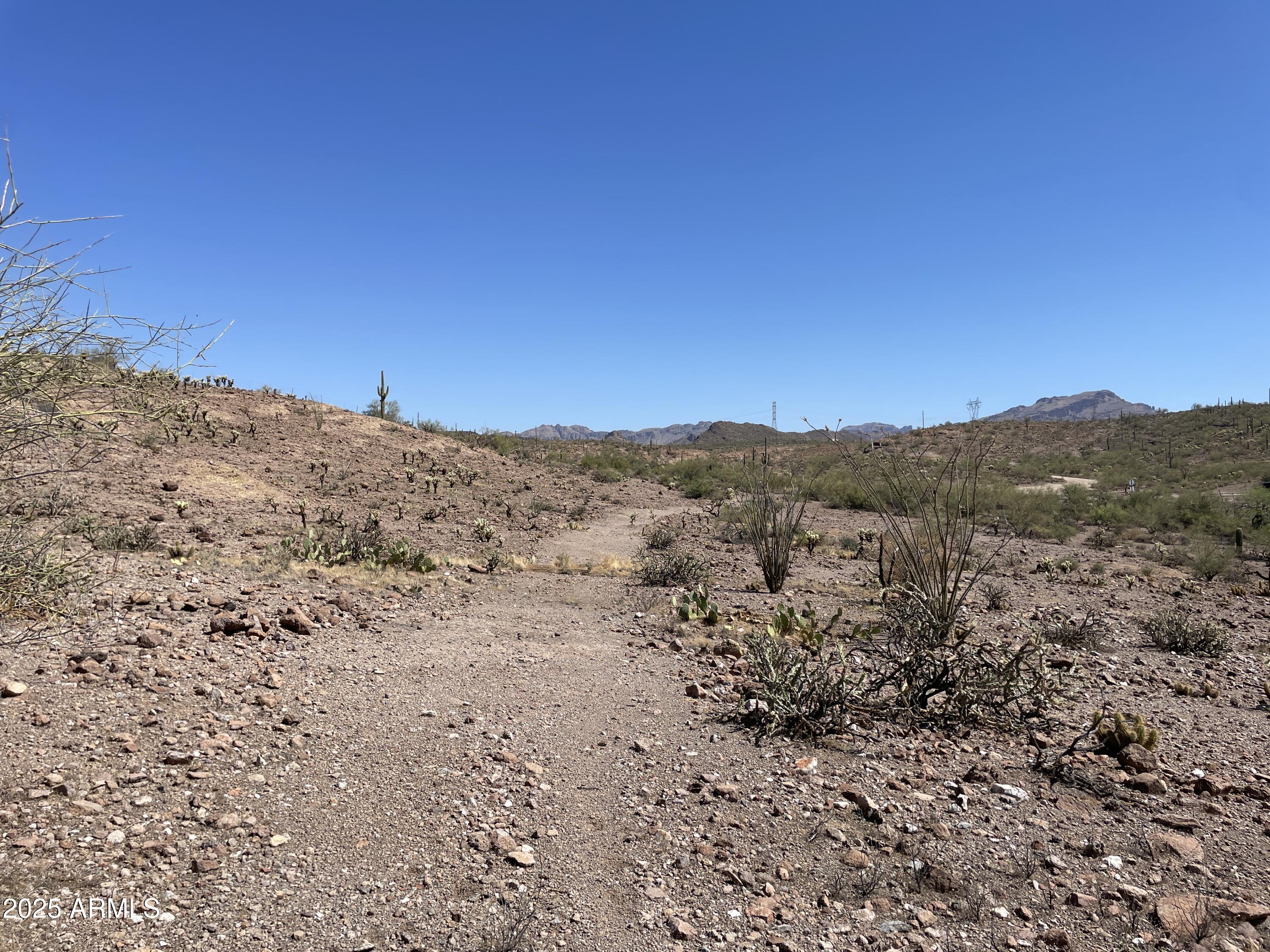 102 North Elephant Butte Road Gold Canyon, AZ 85118 - Photo 16 of 37 a view of mountain