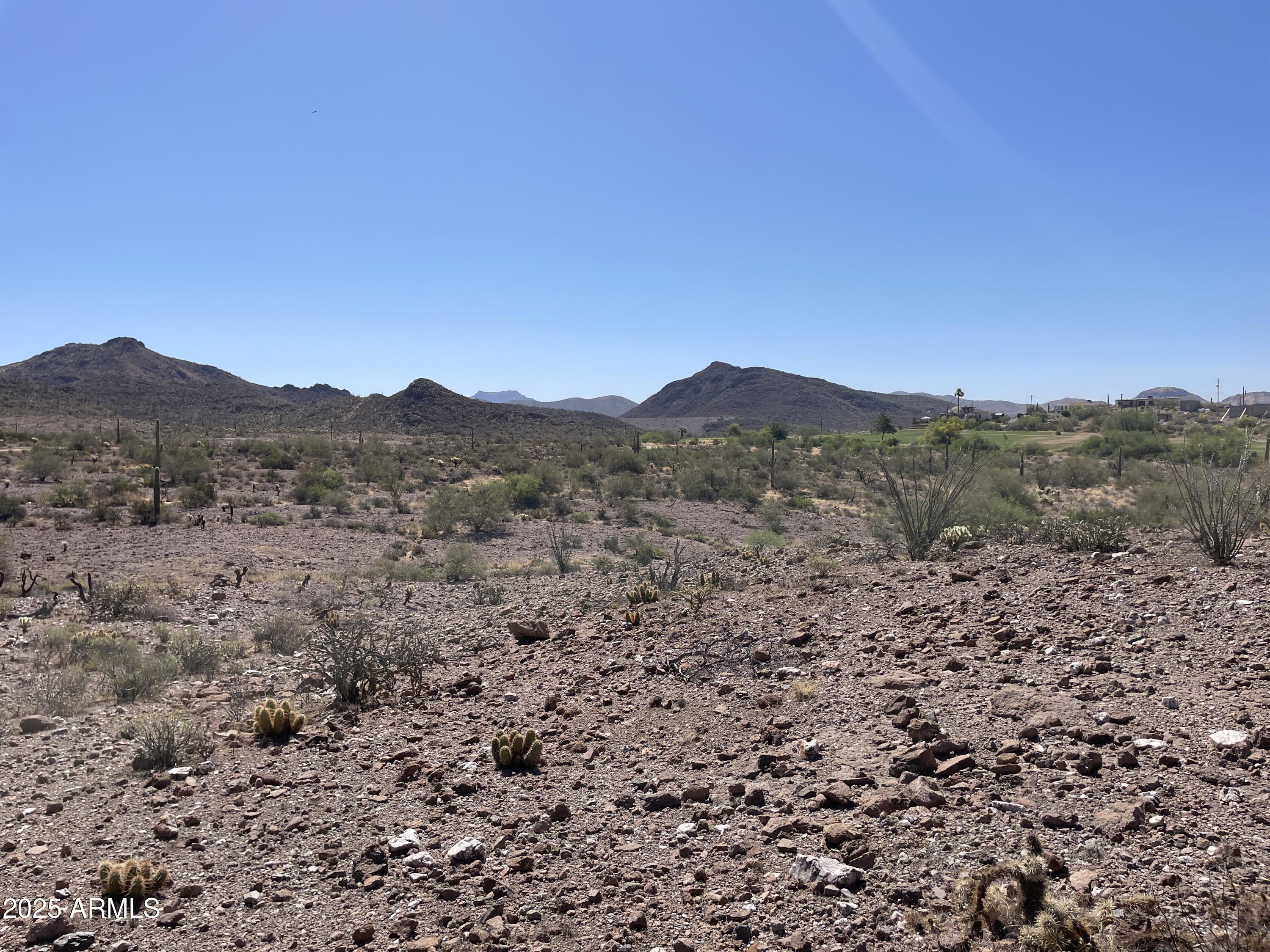 102 North Elephant Butte Road Gold Canyon, AZ 85118 - Photo 17 of 37 a view of a mountain range with trees in the background
