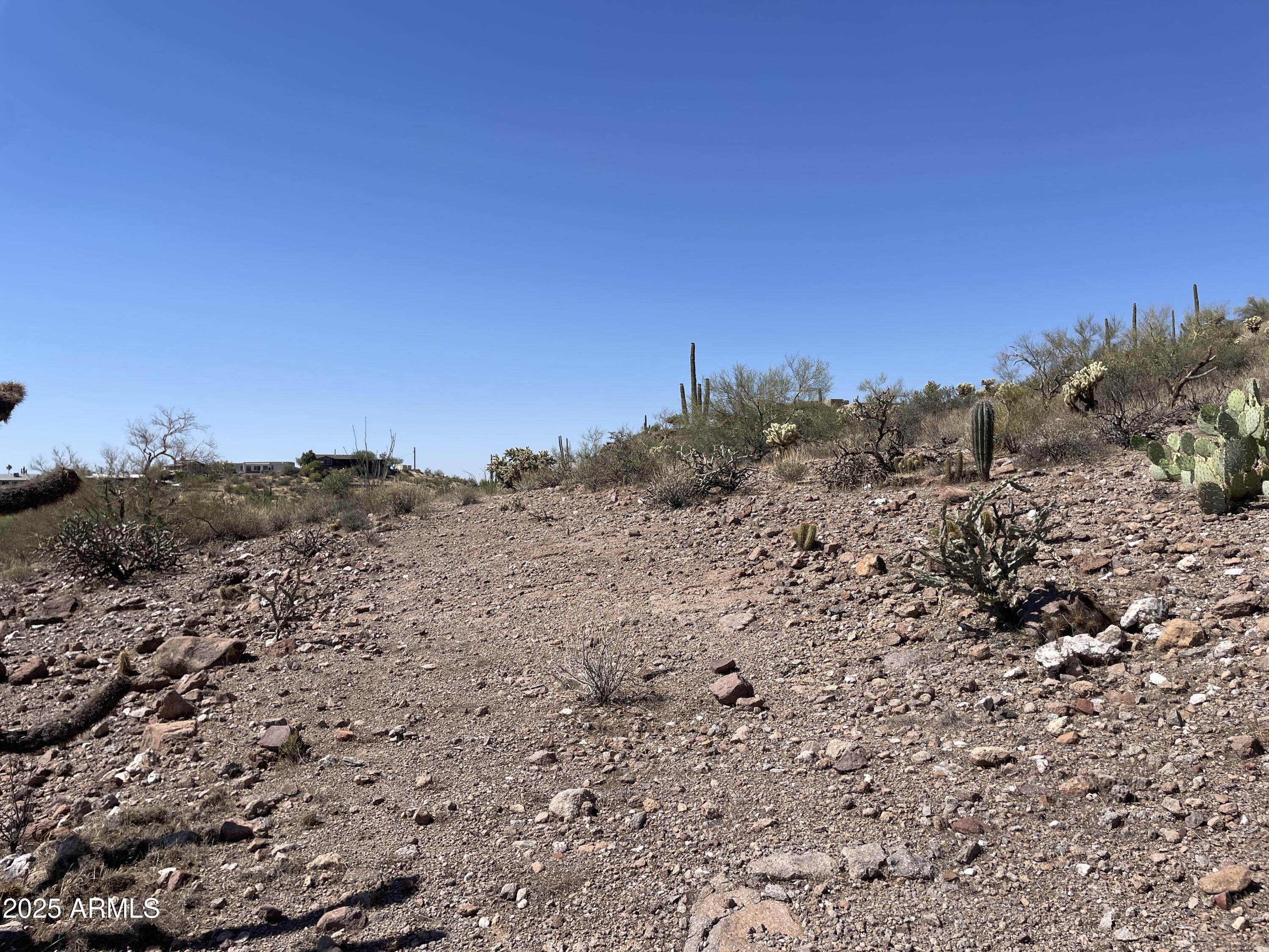102 North Elephant Butte Road Gold Canyon, AZ 85118 - Photo 18 of 37 a view of mountain view with large trees