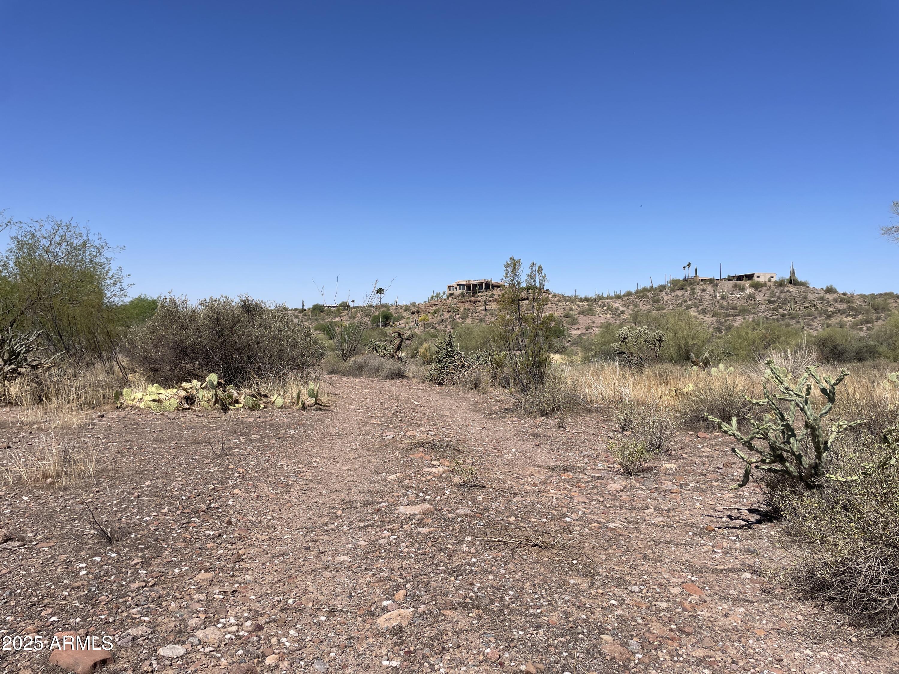 102 North Elephant Butte Road Gold Canyon, AZ 85118 - Photo 21 of 37 a view of mountain and tree