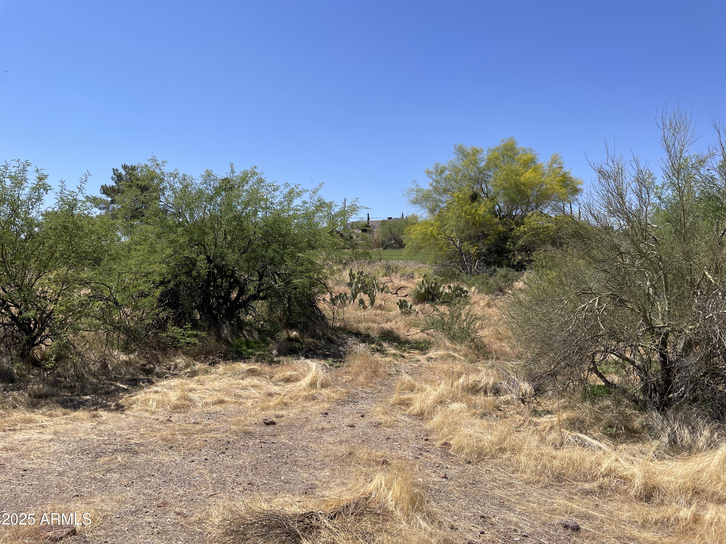 102 North Elephant Butte Road Gold Canyon, AZ 85118 - Photo 22 of 37 a view of a yard