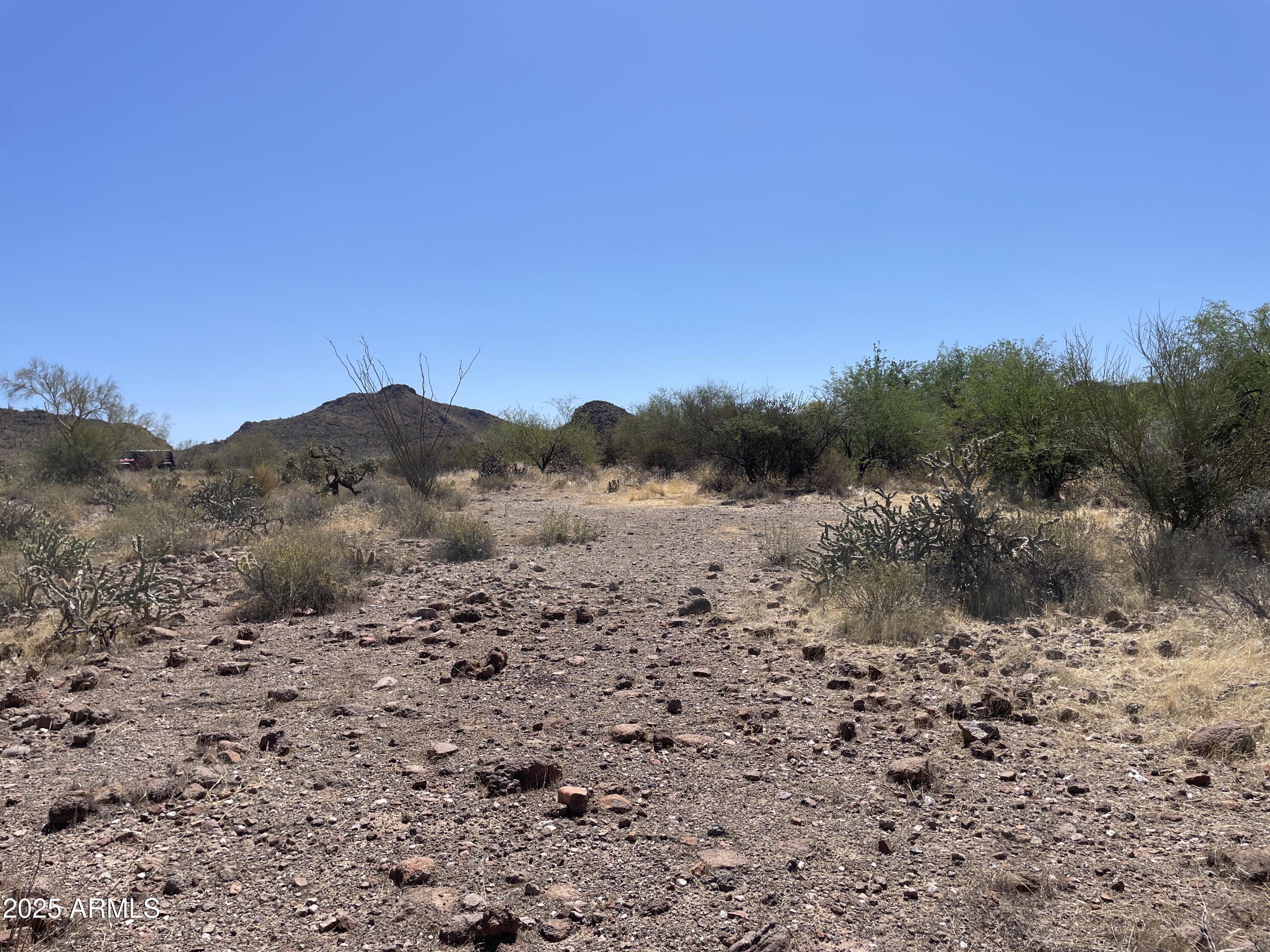 102 North Elephant Butte Road Gold Canyon, AZ 85118 - Photo 23 of 37 a view of a forest with trees in the background