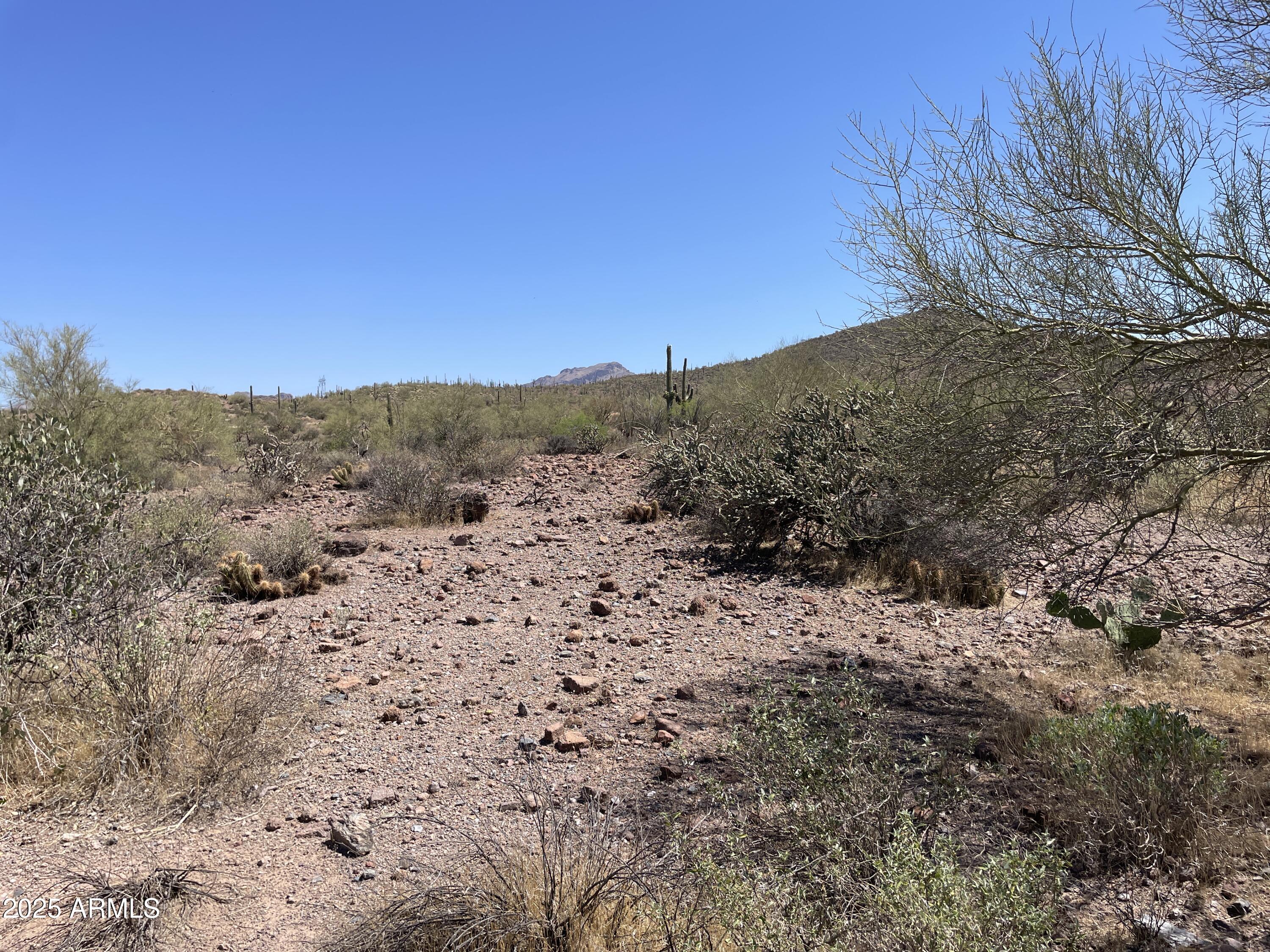 102 North Elephant Butte Road Gold Canyon, AZ 85118 - Photo 24 of 37 a view of a dry yard with mountains in the background