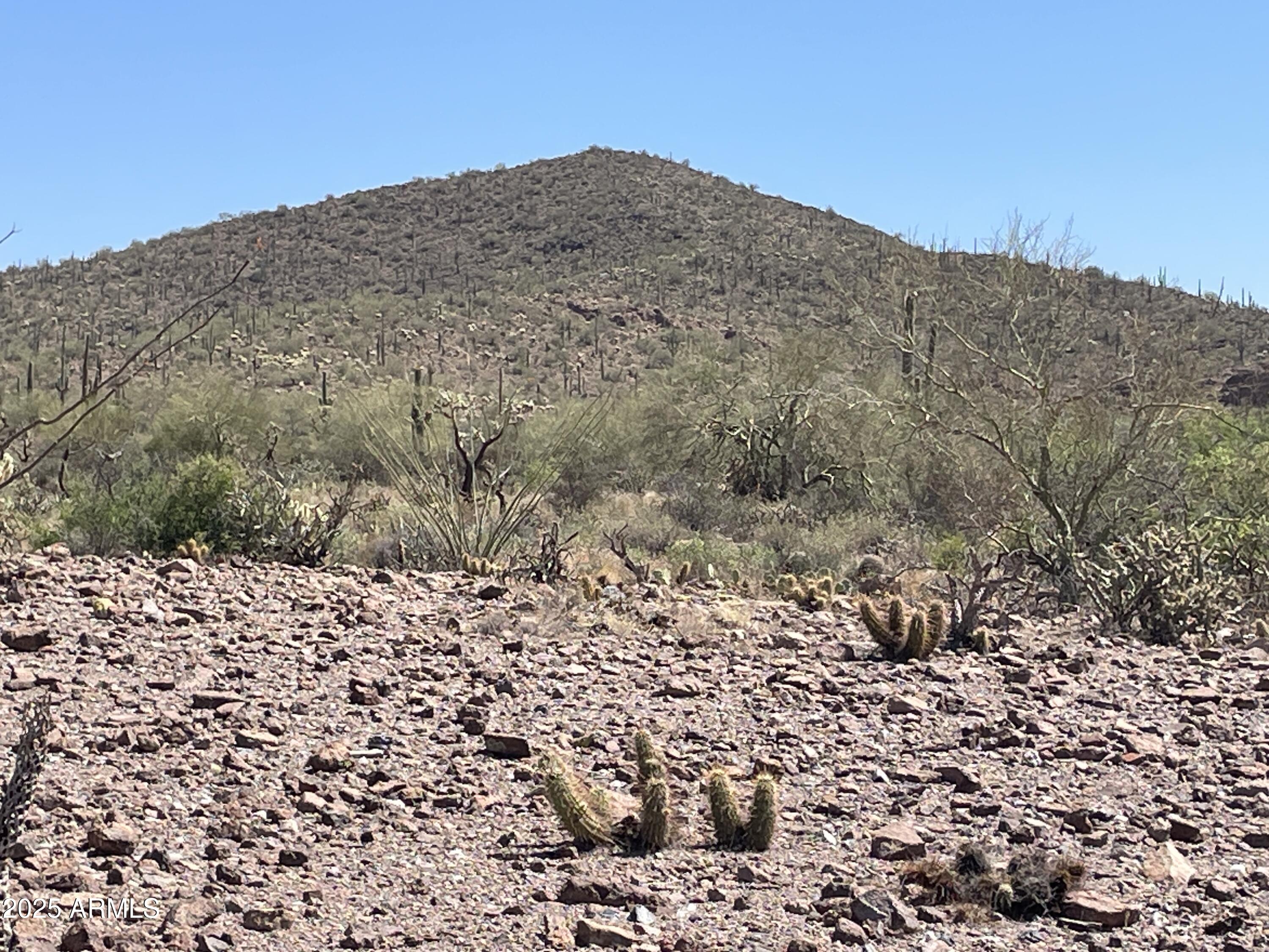 102 North Elephant Butte Road Gold Canyon, AZ 85118 - Photo 26 of 37 a view of a mountain with a outdoor space