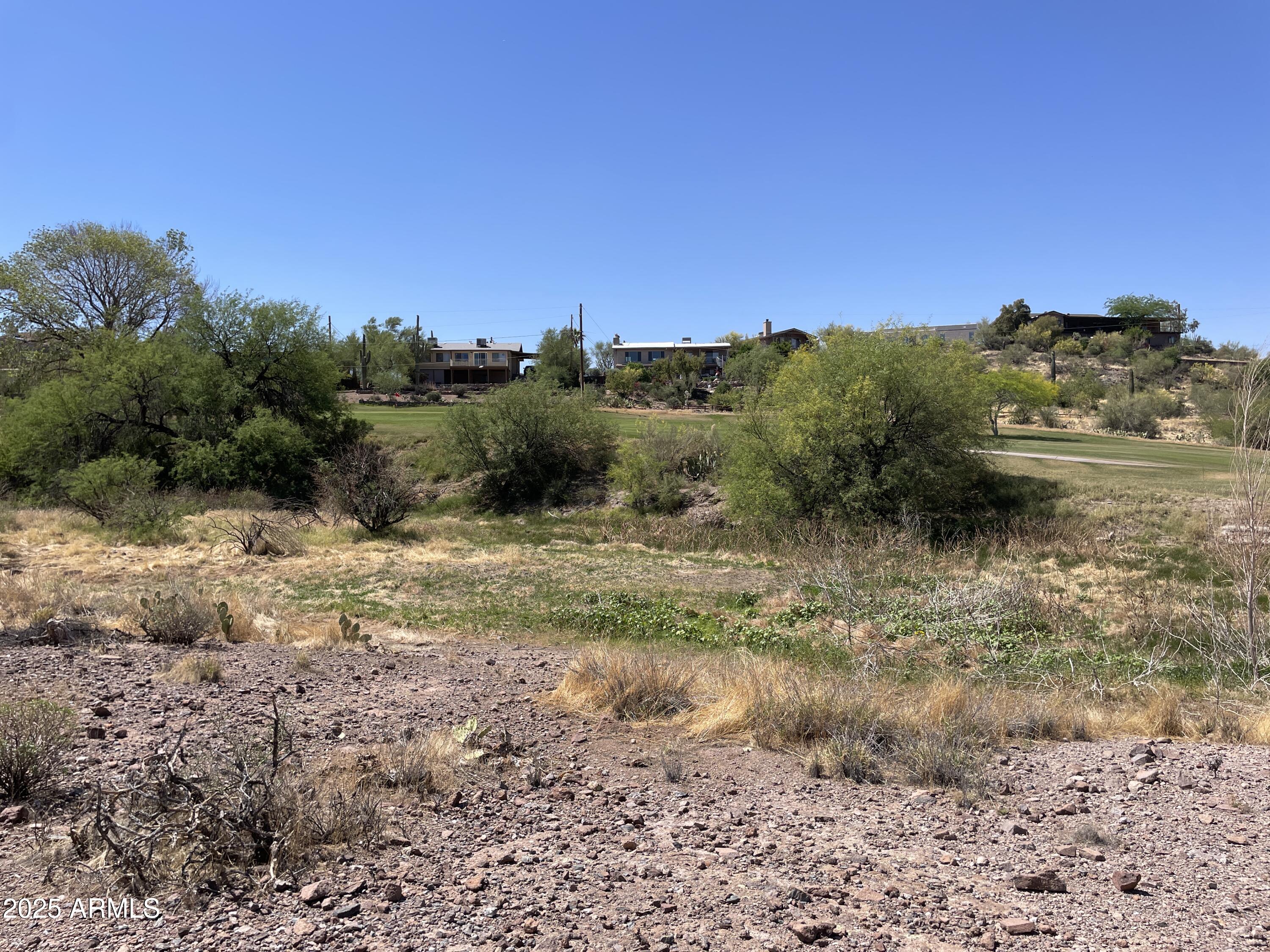 102 North Elephant Butte Road Gold Canyon, AZ 85118 - Photo 27 of 37 a view of a yard with a tree