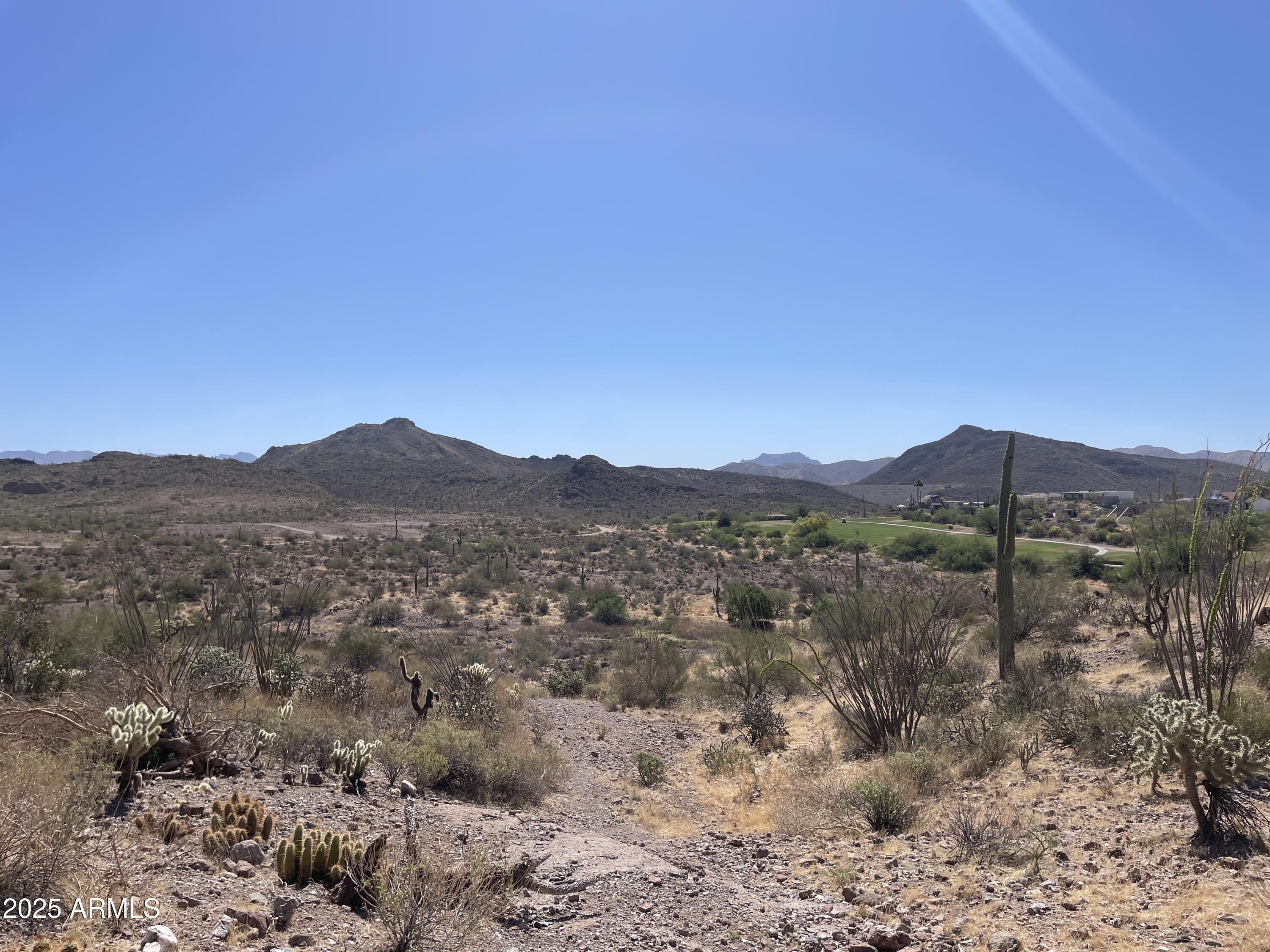 102 North Elephant Butte Road Gold Canyon, AZ 85118 - Photo 3 of 37 a view of a forest with mountains in the background