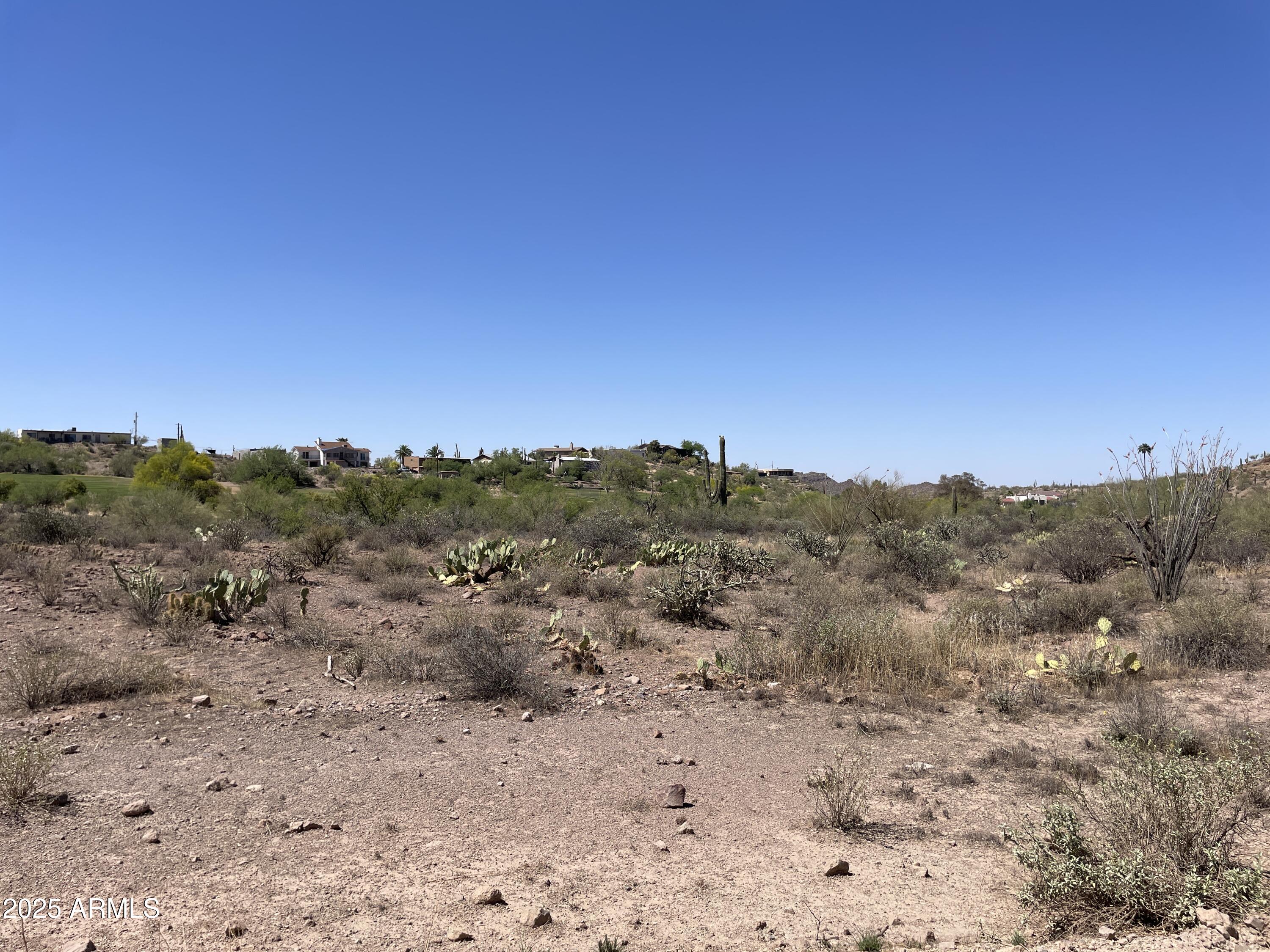 102 North Elephant Butte Road Gold Canyon, AZ 85118 - Photo 33 of 37 a view of a dry yard with mountains in the background