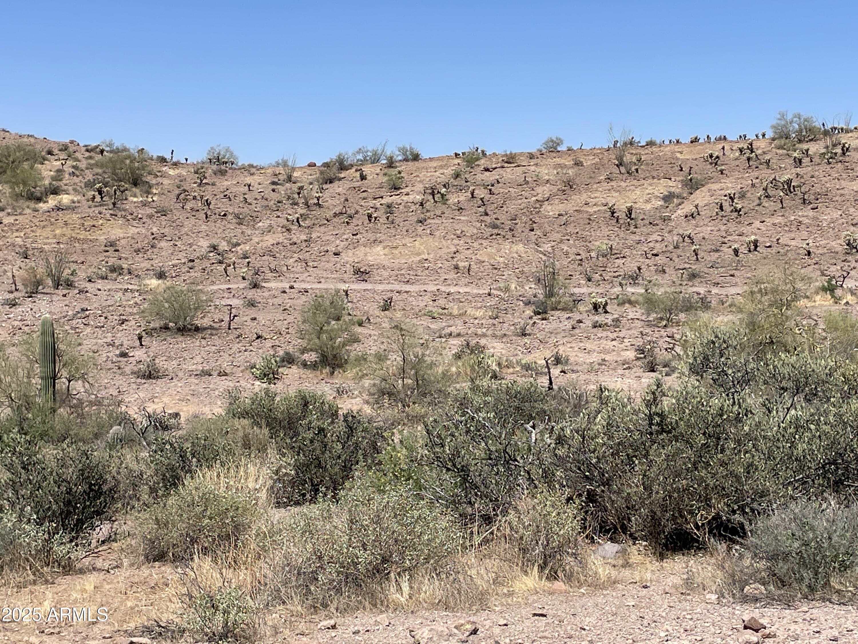 102 North Elephant Butte Road Gold Canyon, AZ 85118 - Photo 36 of 37 a view of a snow on a beach