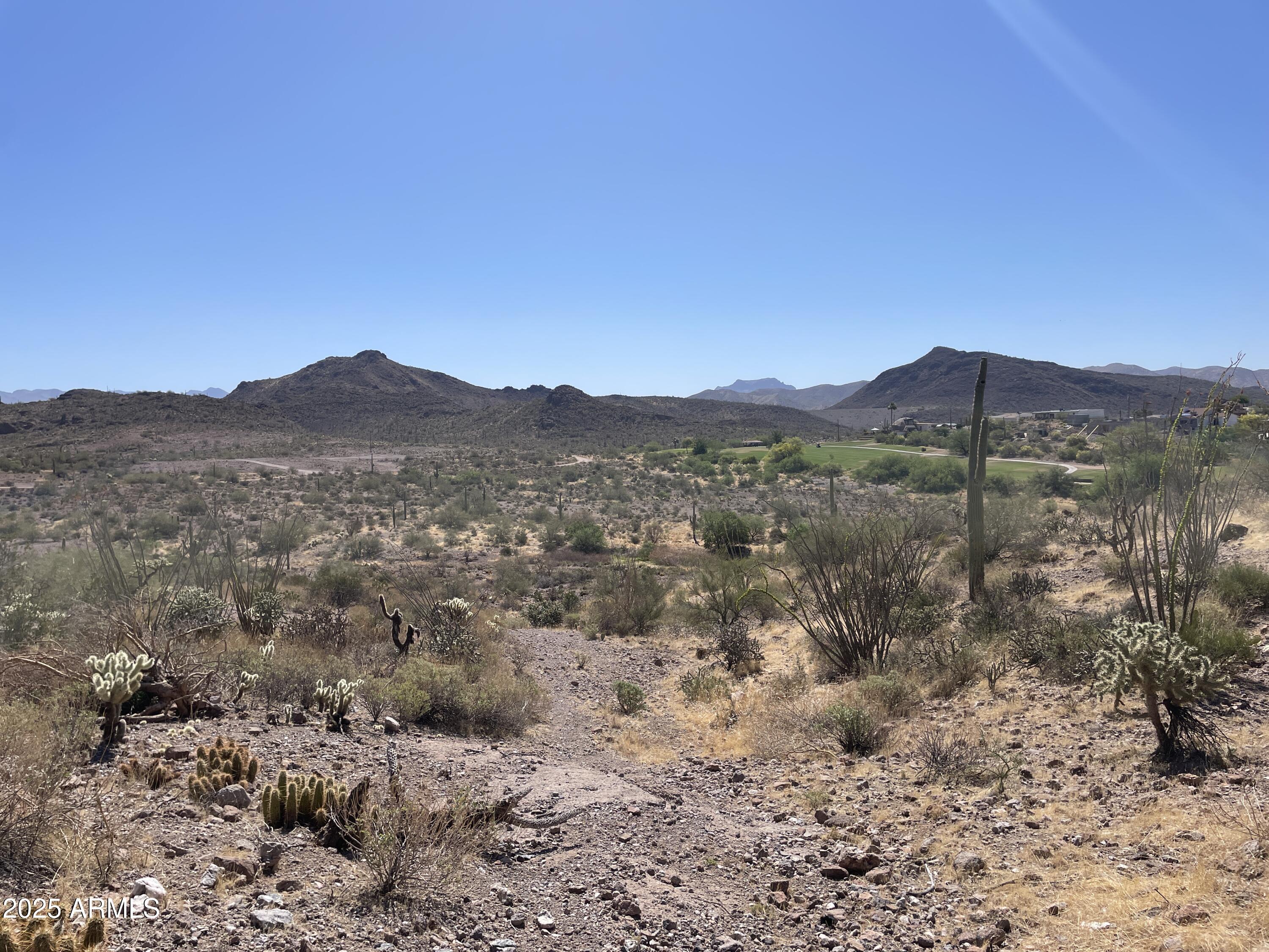 102 North Elephant Butte Road Gold Canyon, AZ 85118 - Photo 4 of 37 a view of a mountain range with trees in the background
