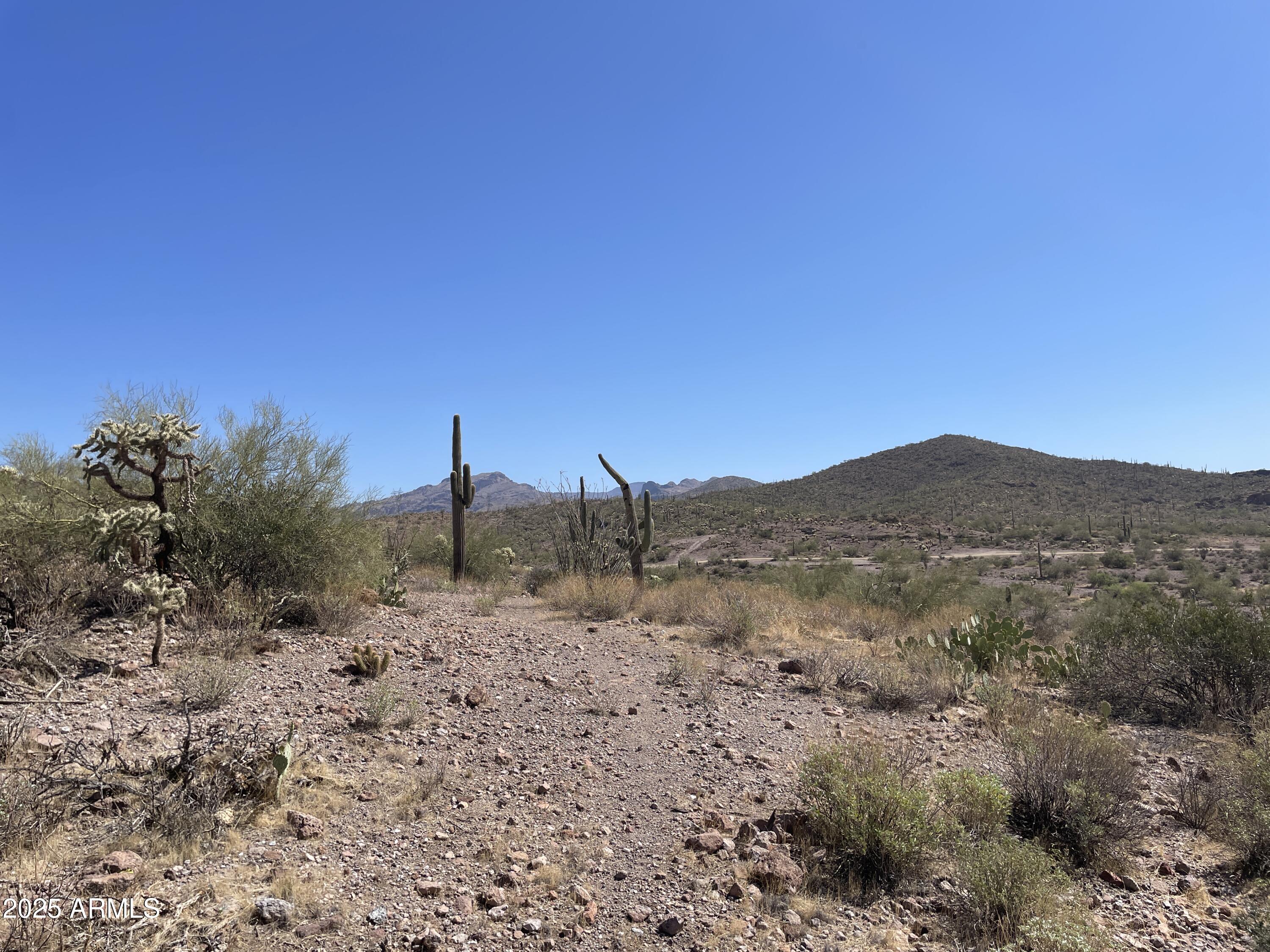 102 North Elephant Butte Road Gold Canyon, AZ 85118 - Photo 5 of 37 a view of a dry yard with mountains in the background