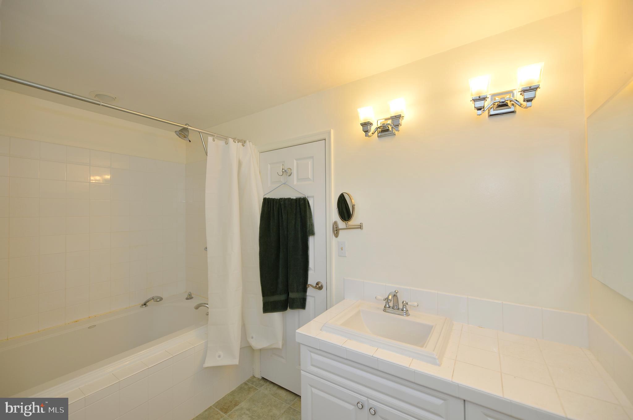 4485 Smokey Hollow Road Bloomery, WV 26817 - Photo 44 of 78 Primary bedroom full bath