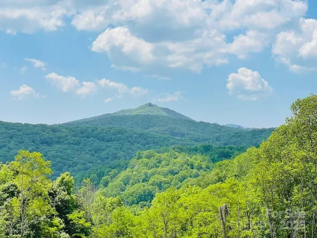 a view of a big yard with potted plants and large trees