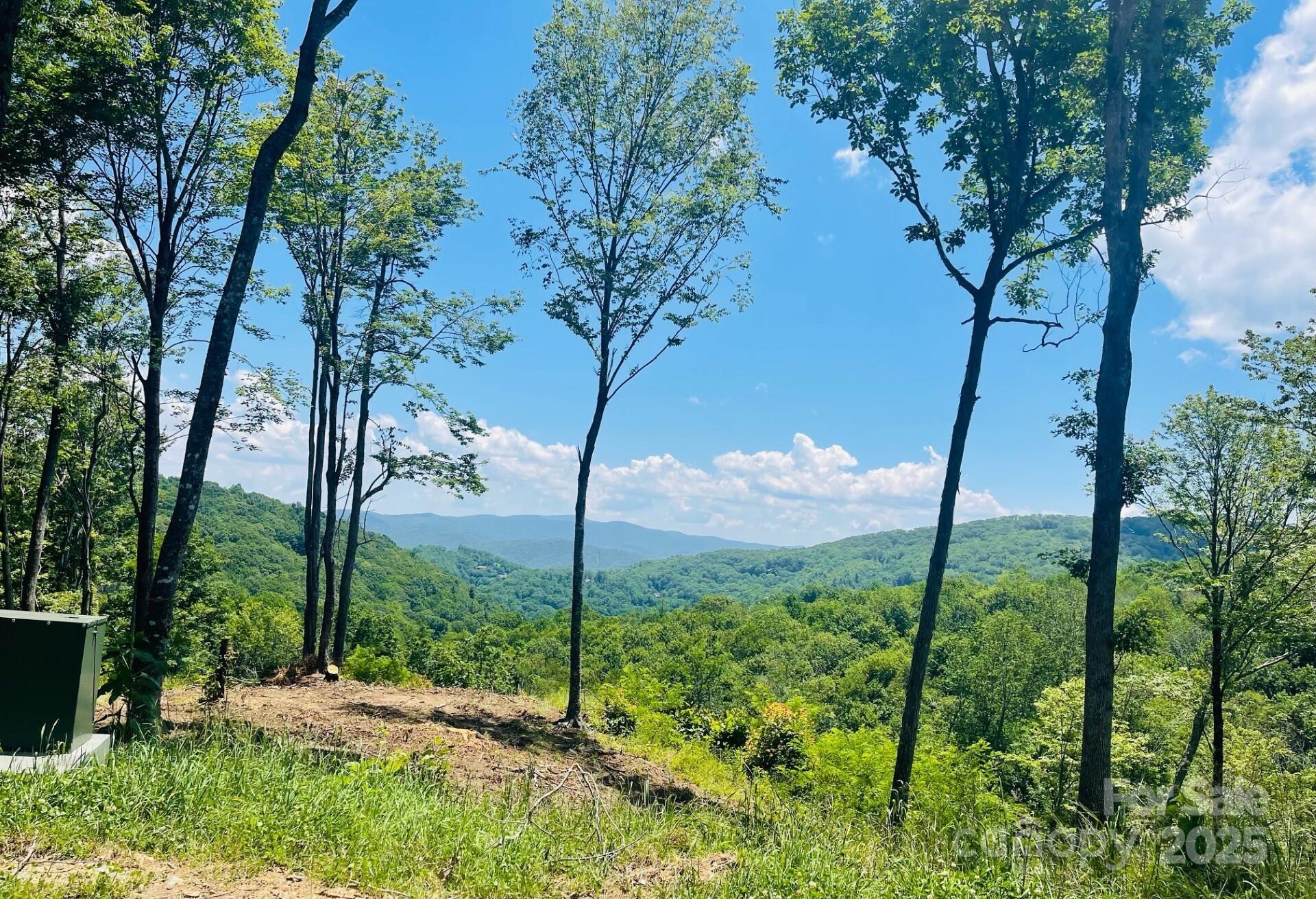 0 Lee Gualtney Road, Unit 15 Apex, NC 27523 - Photo 13 of 15 a view of a garden