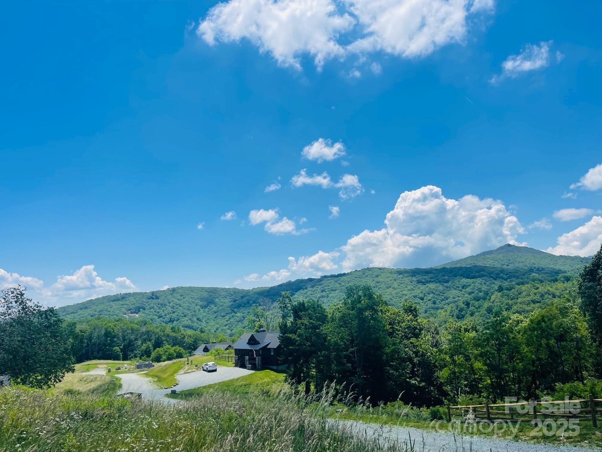 0 Lee Gualtney Road, Unit 15 Apex, NC 27523 - Photo 4 of 15 a view of a big yard with plants and large trees
