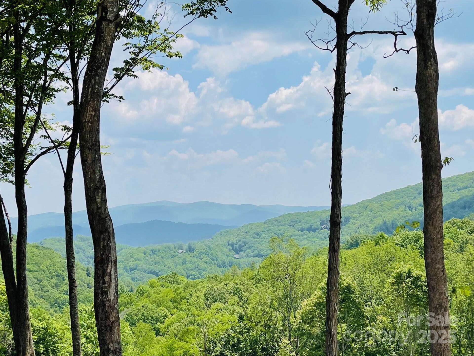 0 Lee Gualtney Road, Unit 15 Apex, NC 27523 - Photo 5 of 15 a view of a yard from a balcony