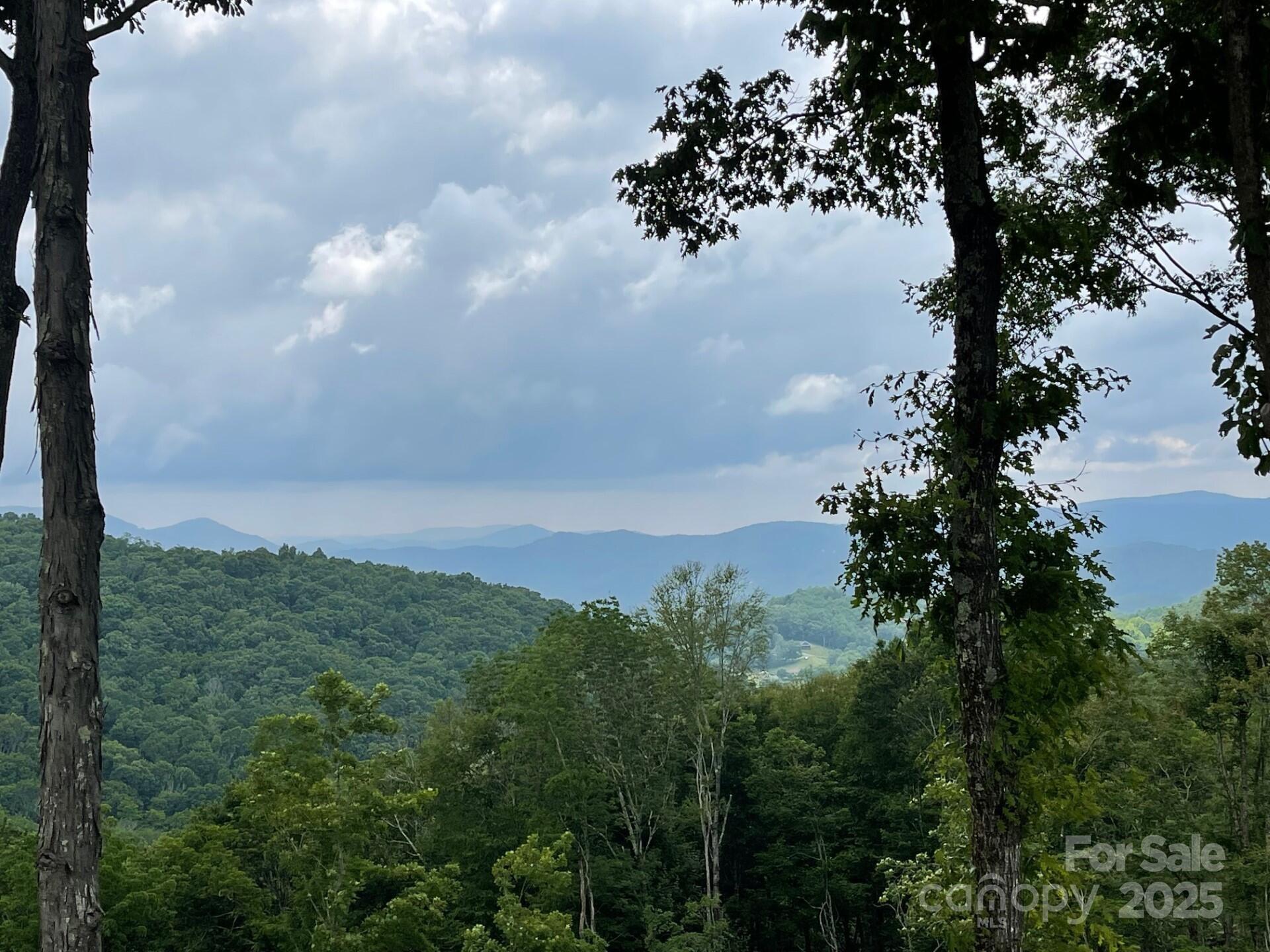 0 Lee Gualtney Road, Unit 15 Apex, NC 27523 - Photo 6 of 15 a view of a bunch of trees in a field