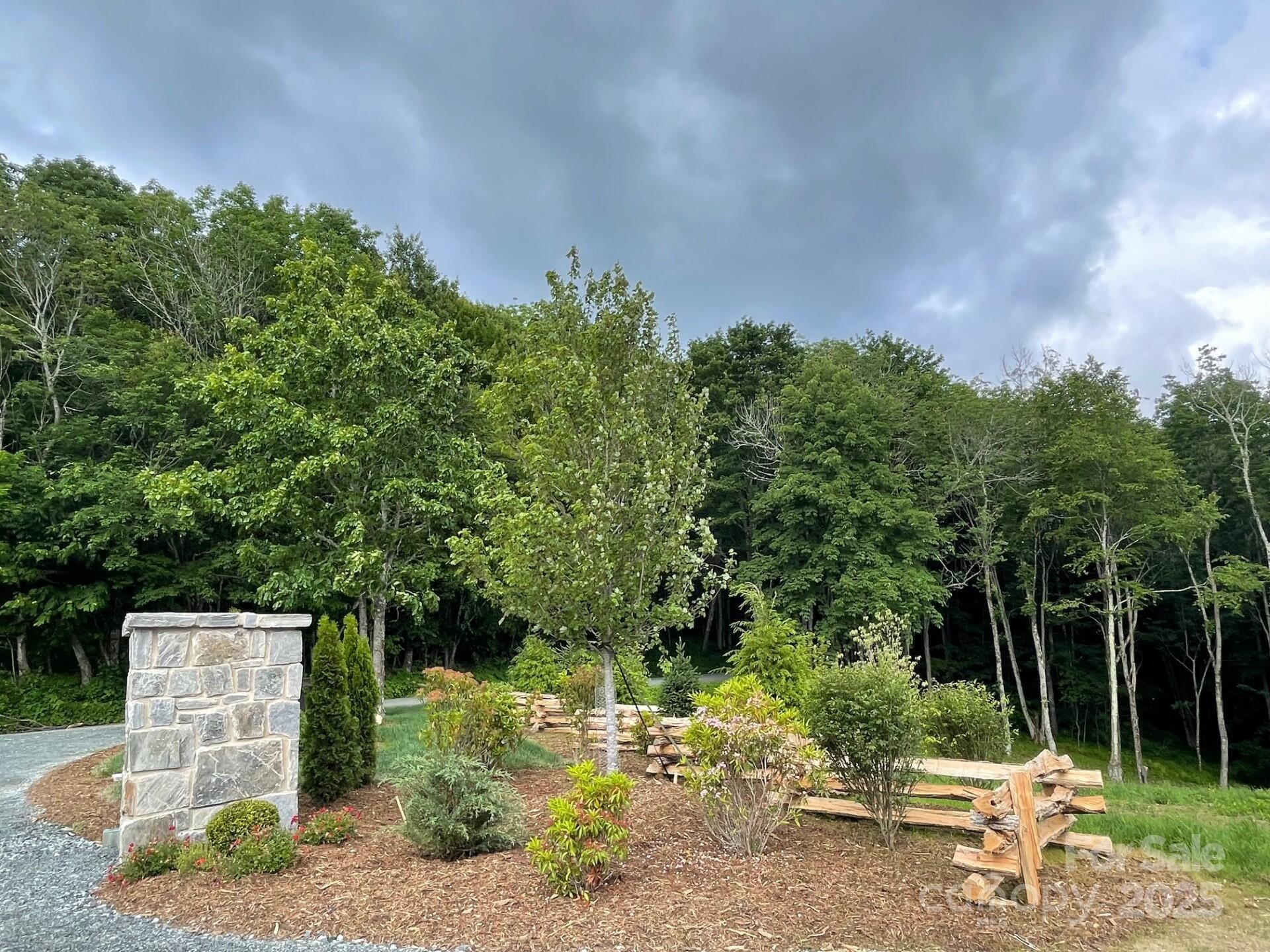 0 Lee Gualtney Road, Unit 15 Apex, NC 27523 - Photo 7 of 15 a backyard of a house with lots of green space