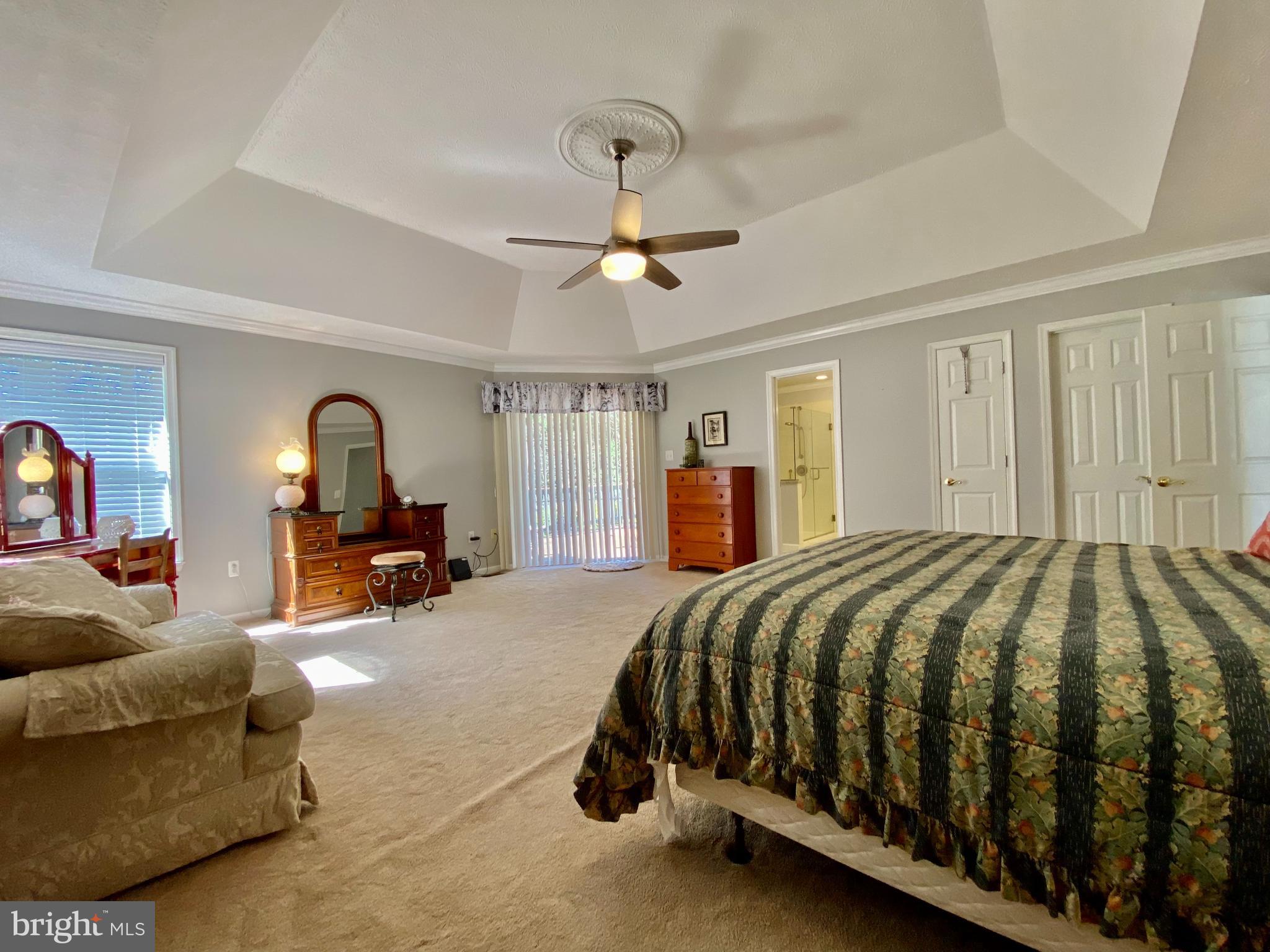 210 Canyon Road Winchester, VA 22602 - Photo 15 of 27 Primary Bedroom with Tray Ceiling and Ceiling Fan