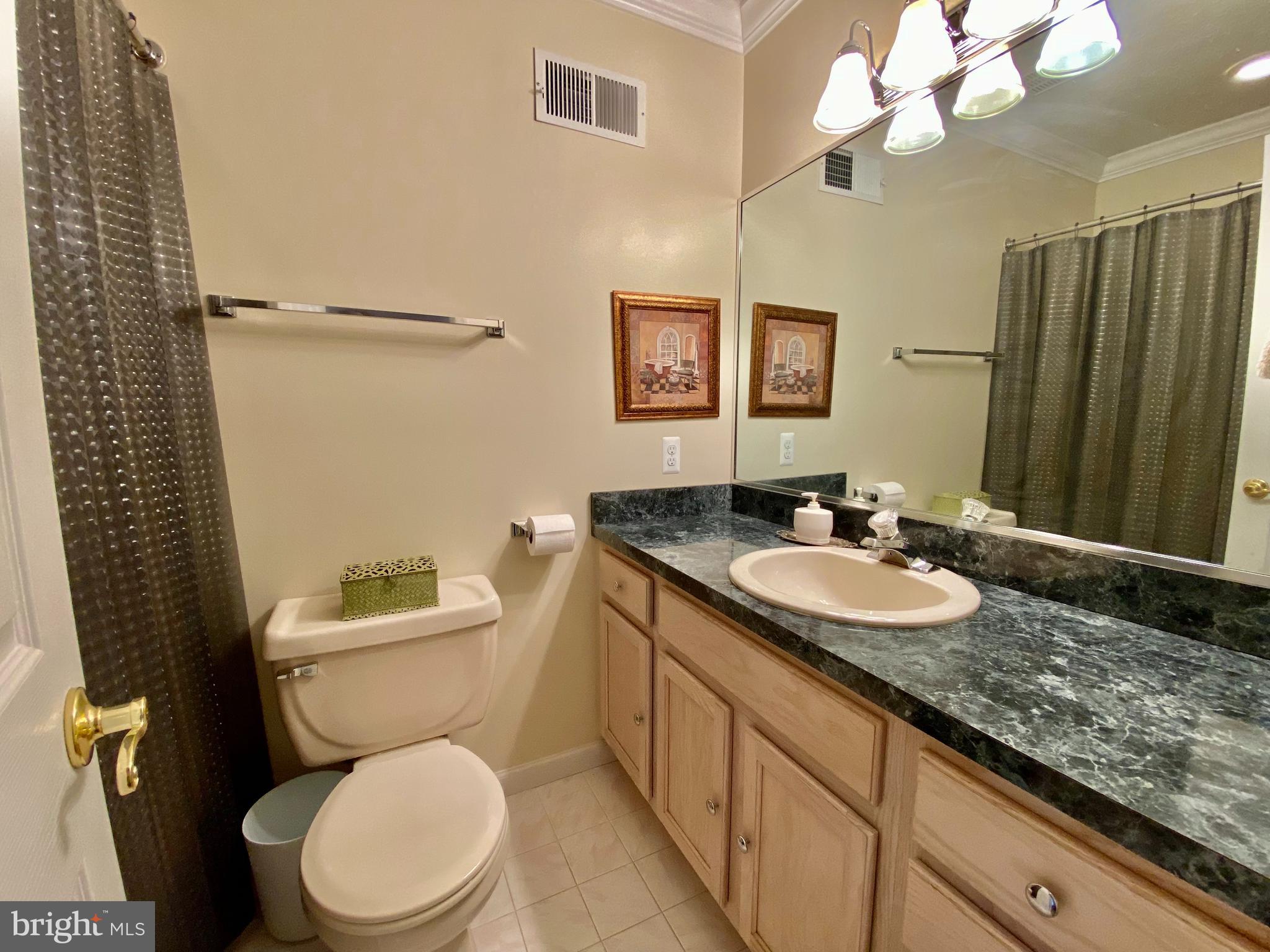 210 Canyon Road Winchester, VA 22602 - Photo 23 of 27 Full Bathroom in Hallway with Tub Shower 5 x 8