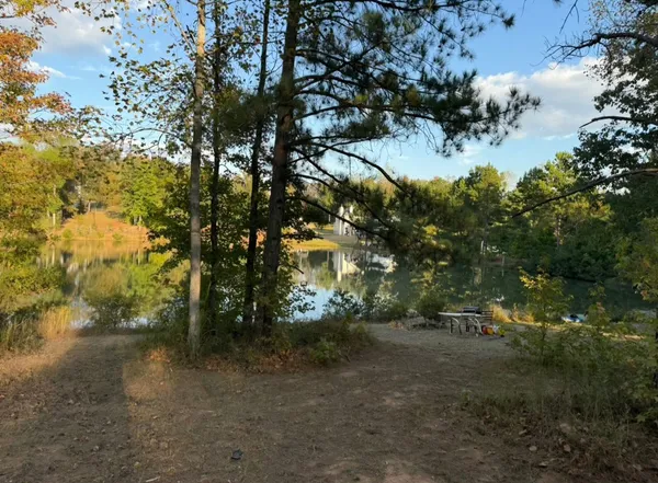 a view of a forest
