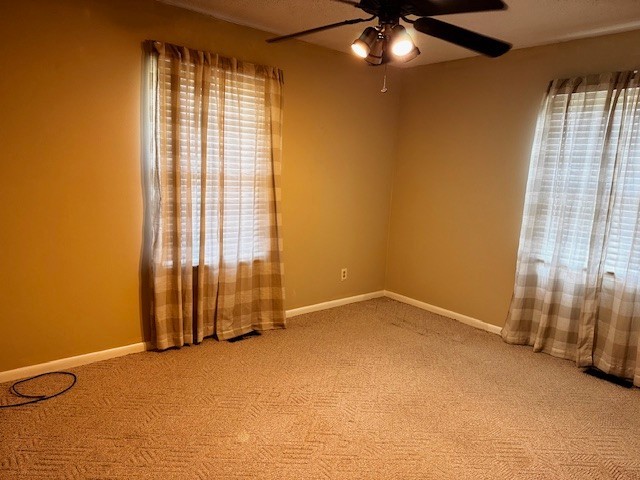 442 Shady Grove Road Flintville, TN 37335 - Photo 15 of 44 an empty room with chandelier fan