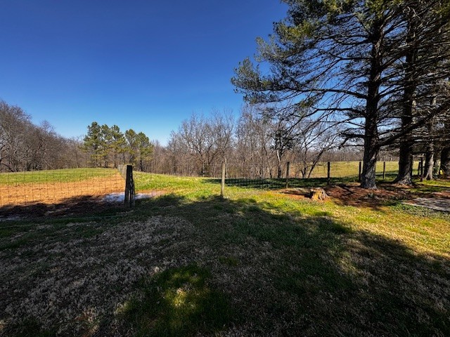 442 Shady Grove Road Flintville, TN 37335 - Photo 31 of 44 a view of yard with swimming pool and trees