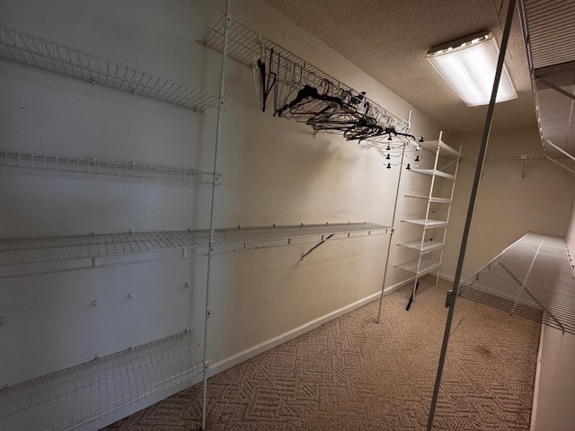 442 Shady Grove Road Flintville, TN 37335 - Photo 10 of 44 a view of walk in closet