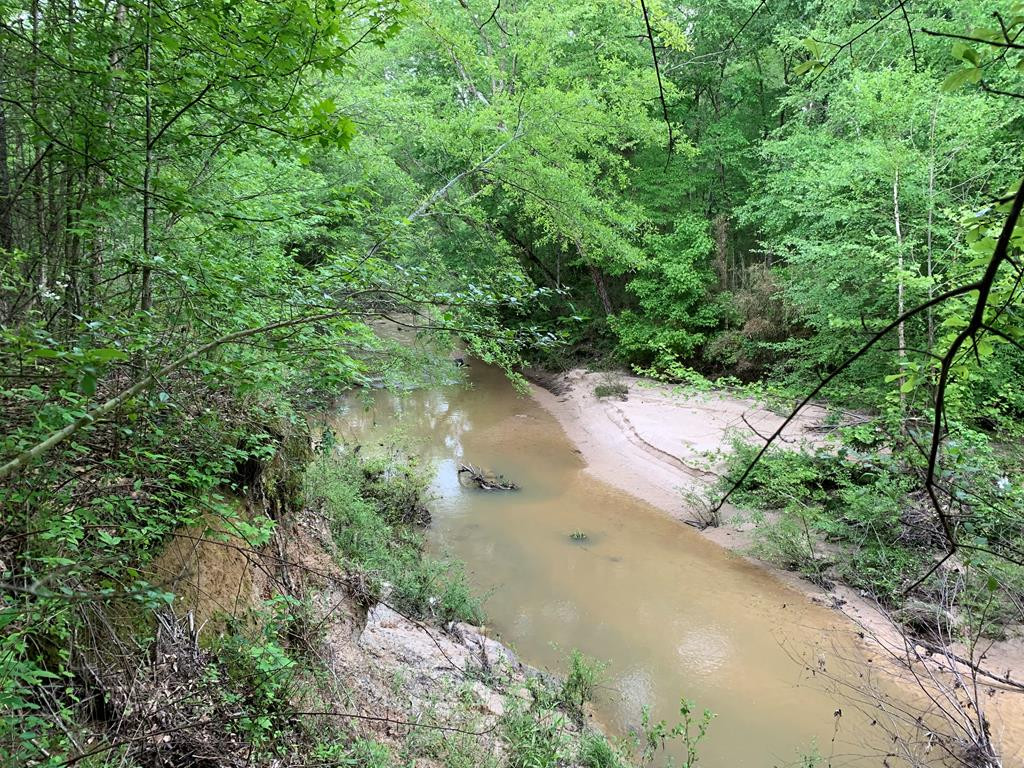 0 Cold Springs Road Sardis, MS 38666 - Photo 1 of 1 Main View
