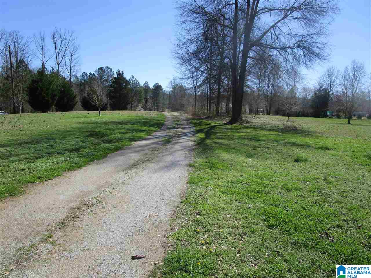 89 Buddy Lane Springville, AL 35146 - Photo 3 of 25