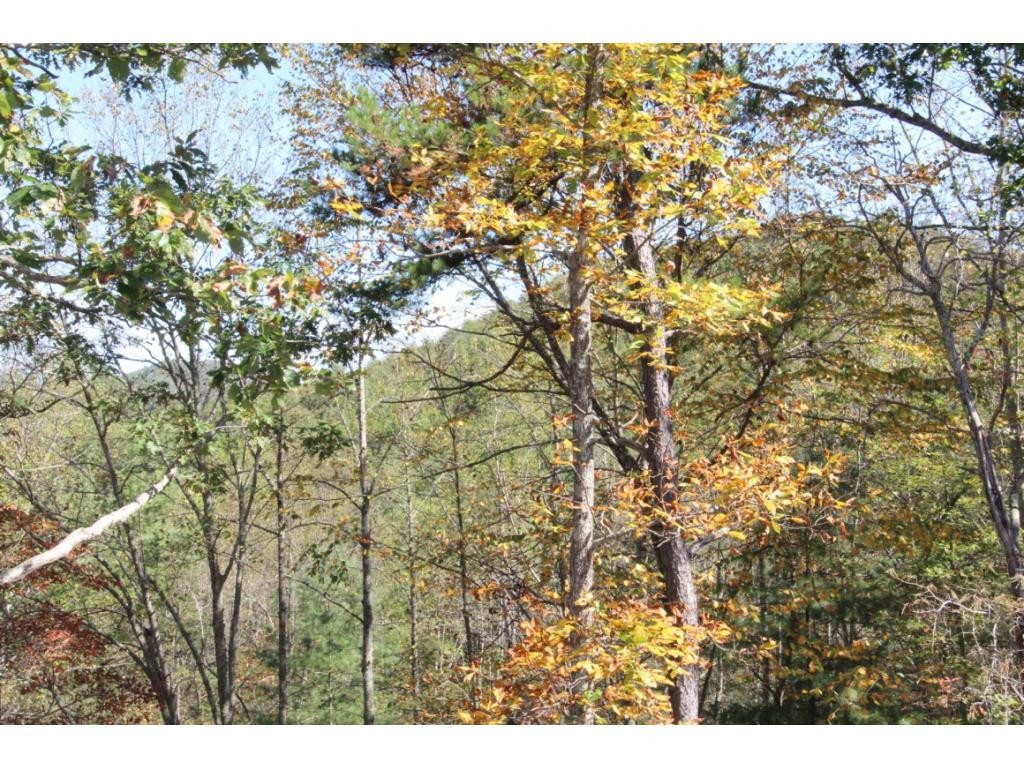 195 Ridge Run Butler, TN 37640 - Photo 15 of 16 Photo 15